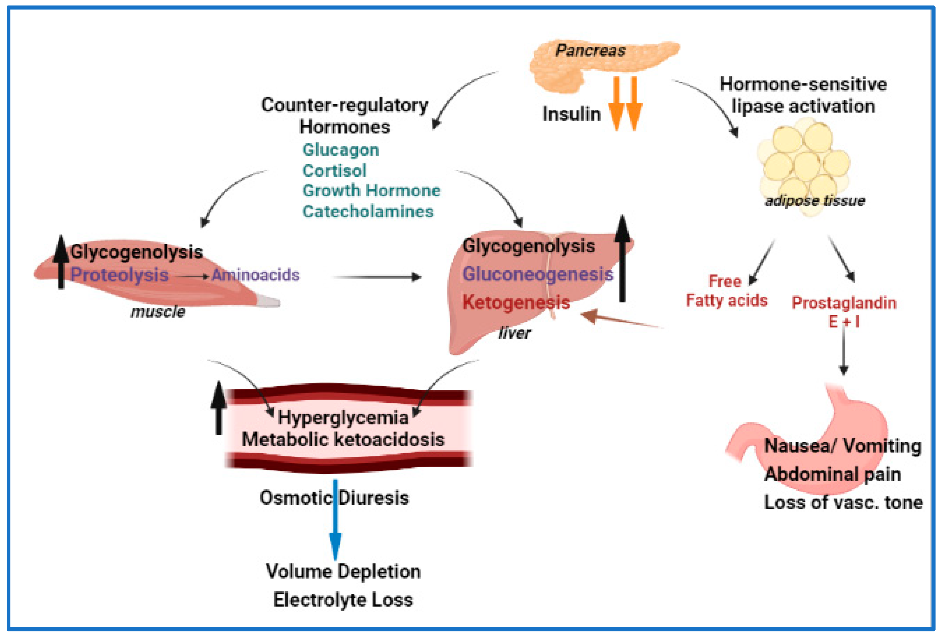 Diabetic ketoacidosis effects on the body