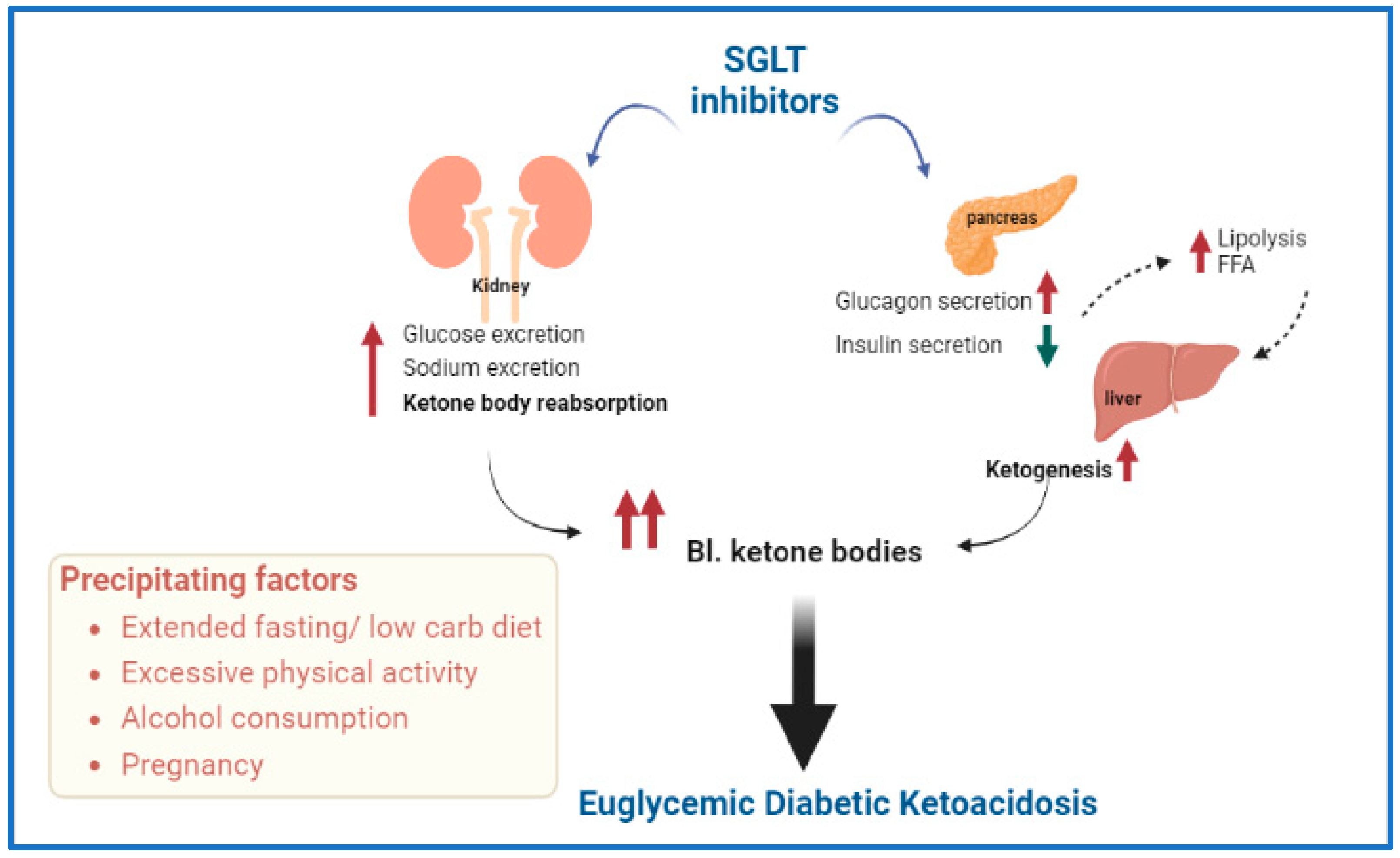 presentation of euglycemic dka