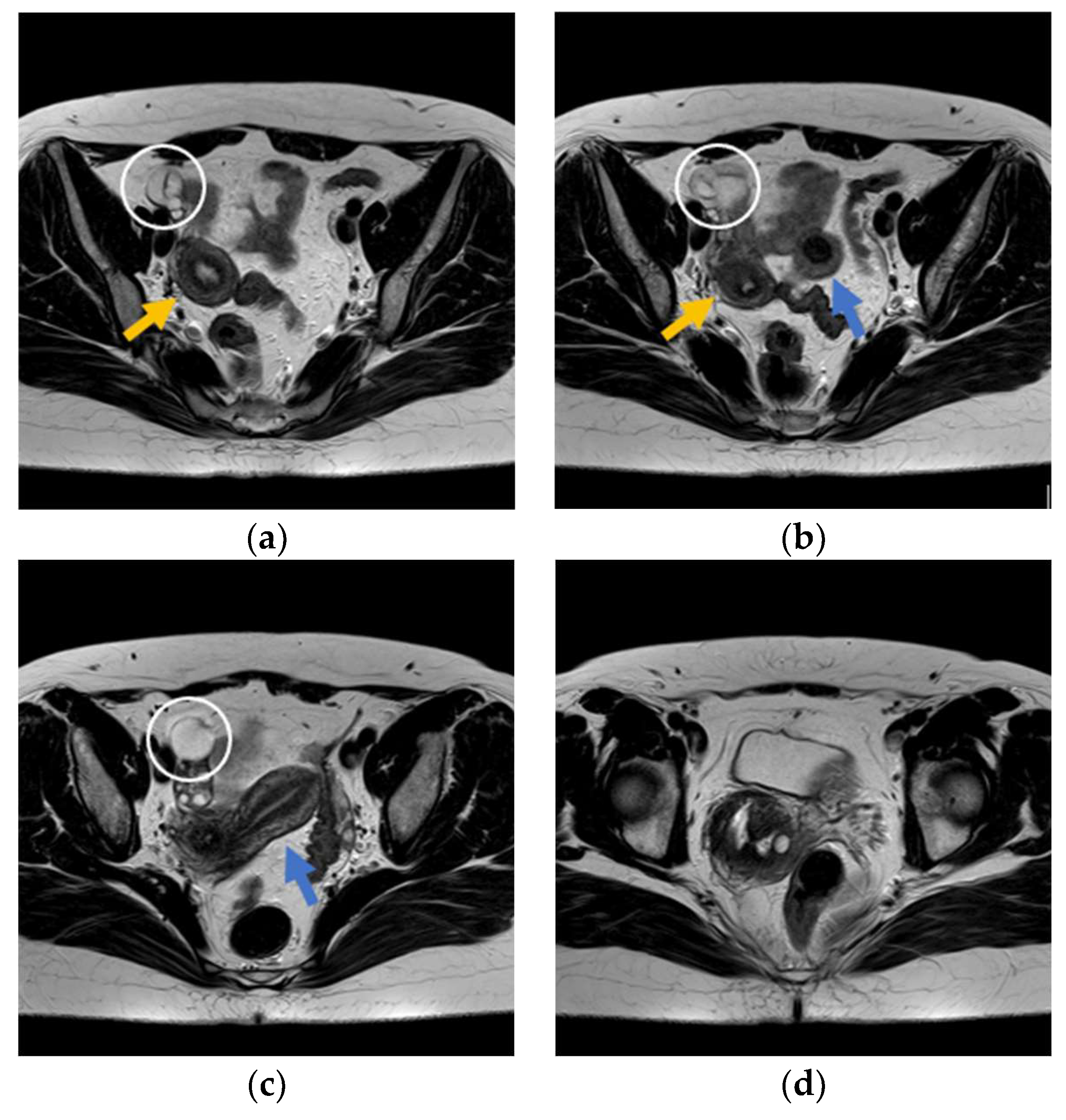 Endocrines 03 00068 g002