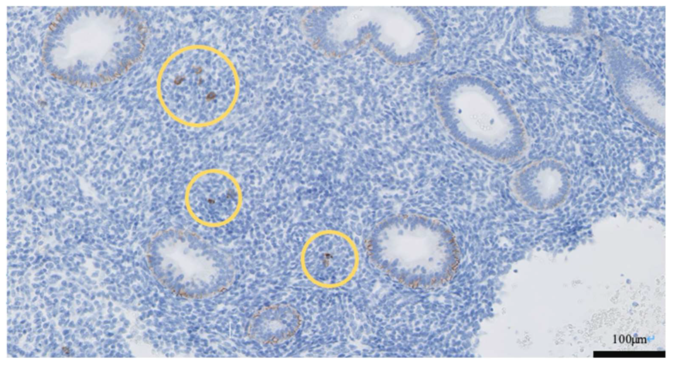 Endocrines 03 00068 g004