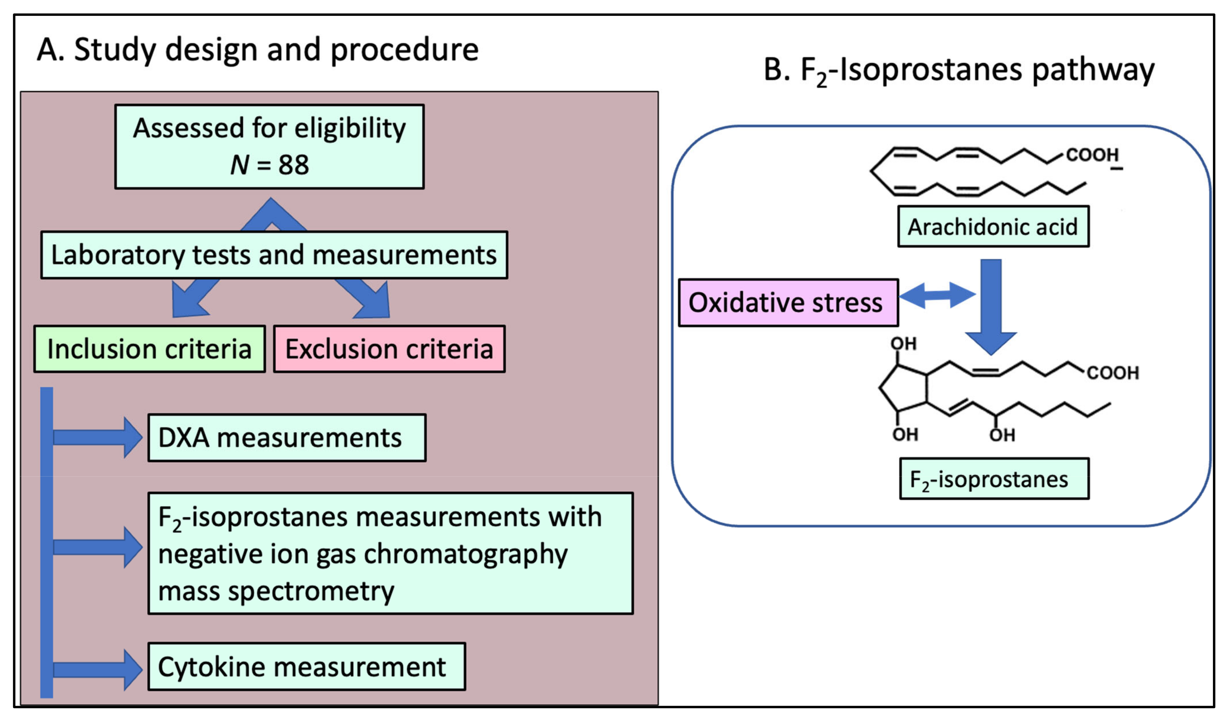 Endocrines 04 00003 g001 Endocrines 04 00003 g001