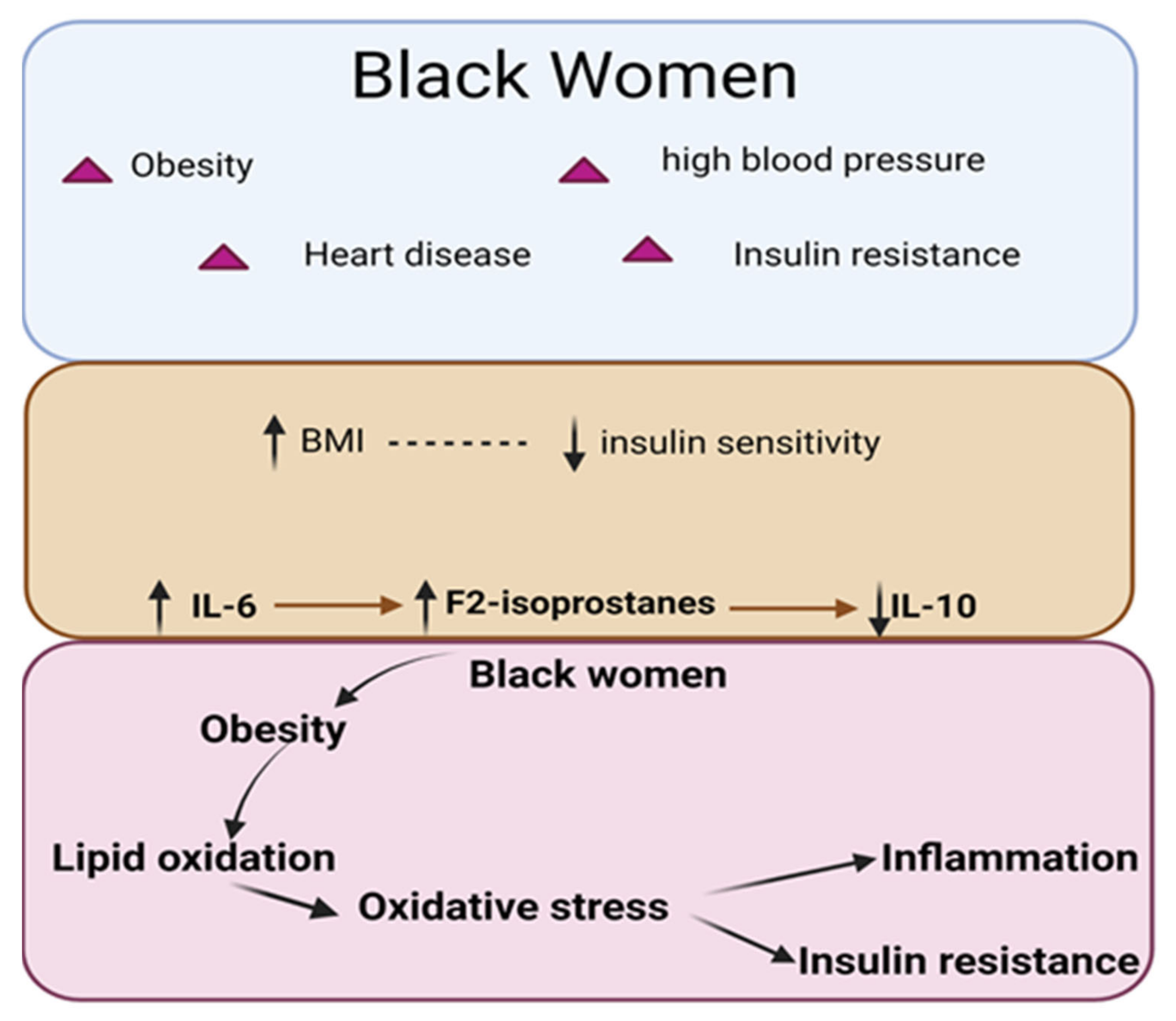 Endocrines 04 00003 g007 Endocrines 04 00003 g007