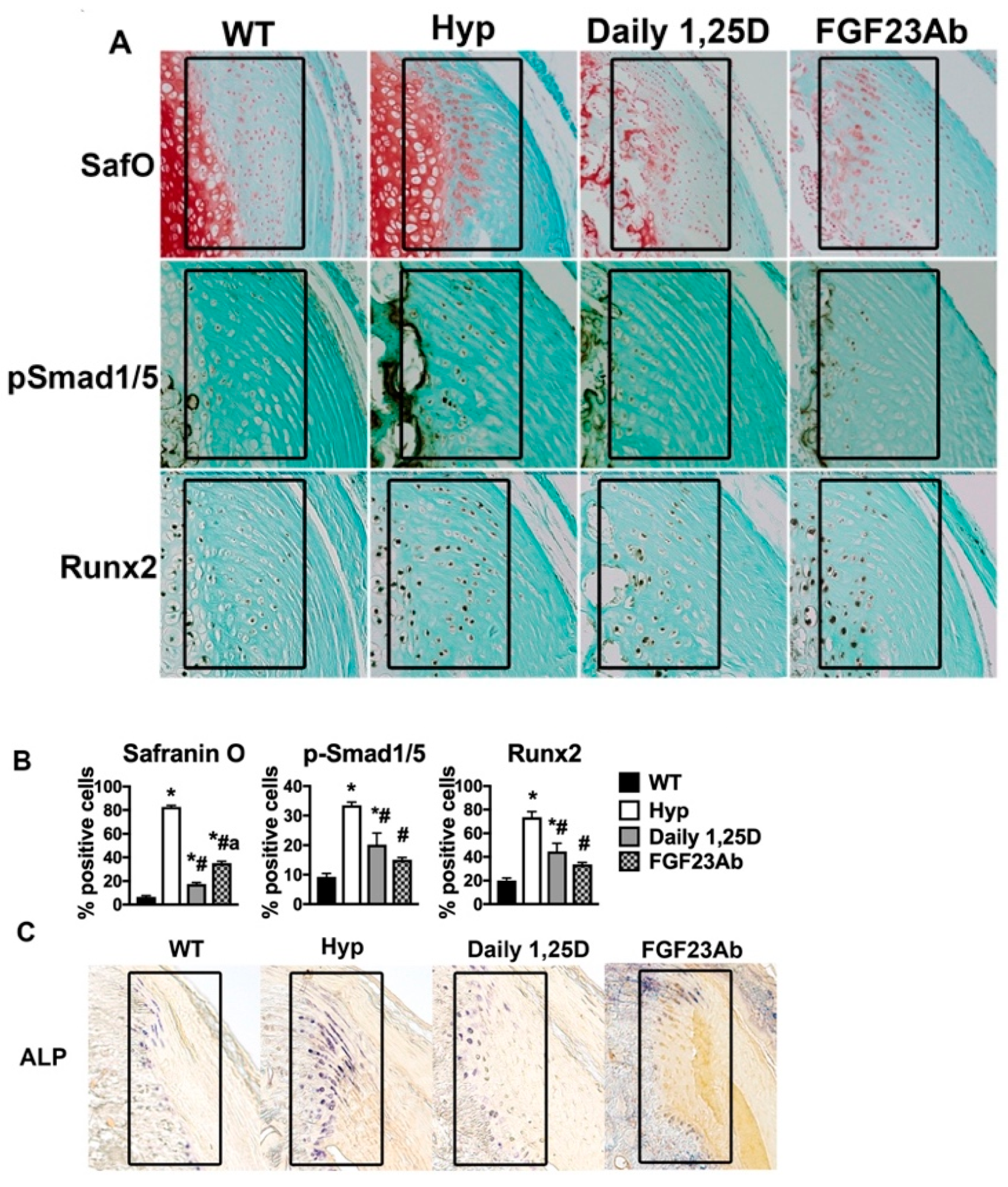 Endocrines 04 00014 g002 Endocrines 04 00014 g002