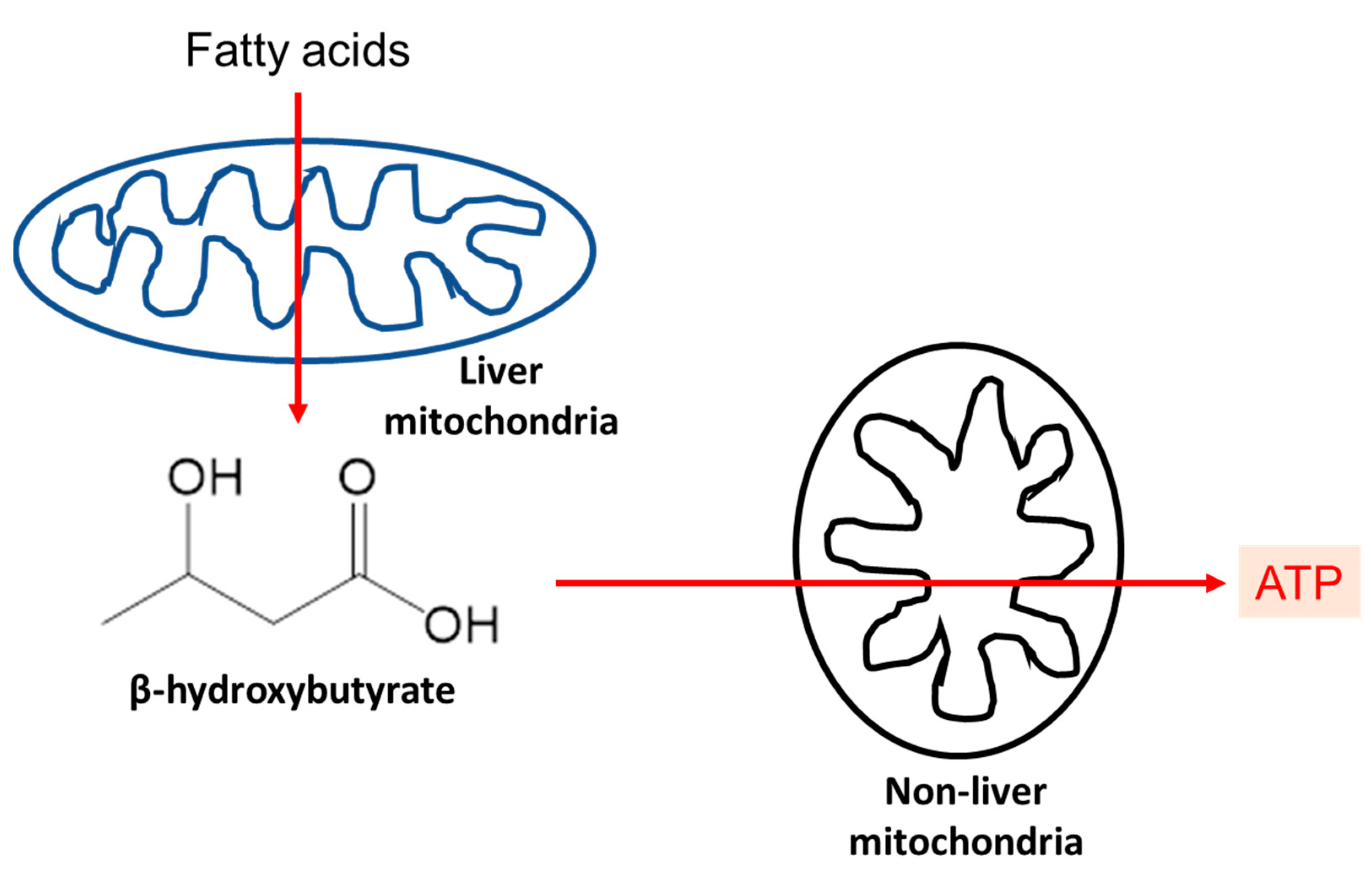 Endocrines 04 00019 g002 Endocrines 04 00019 g002