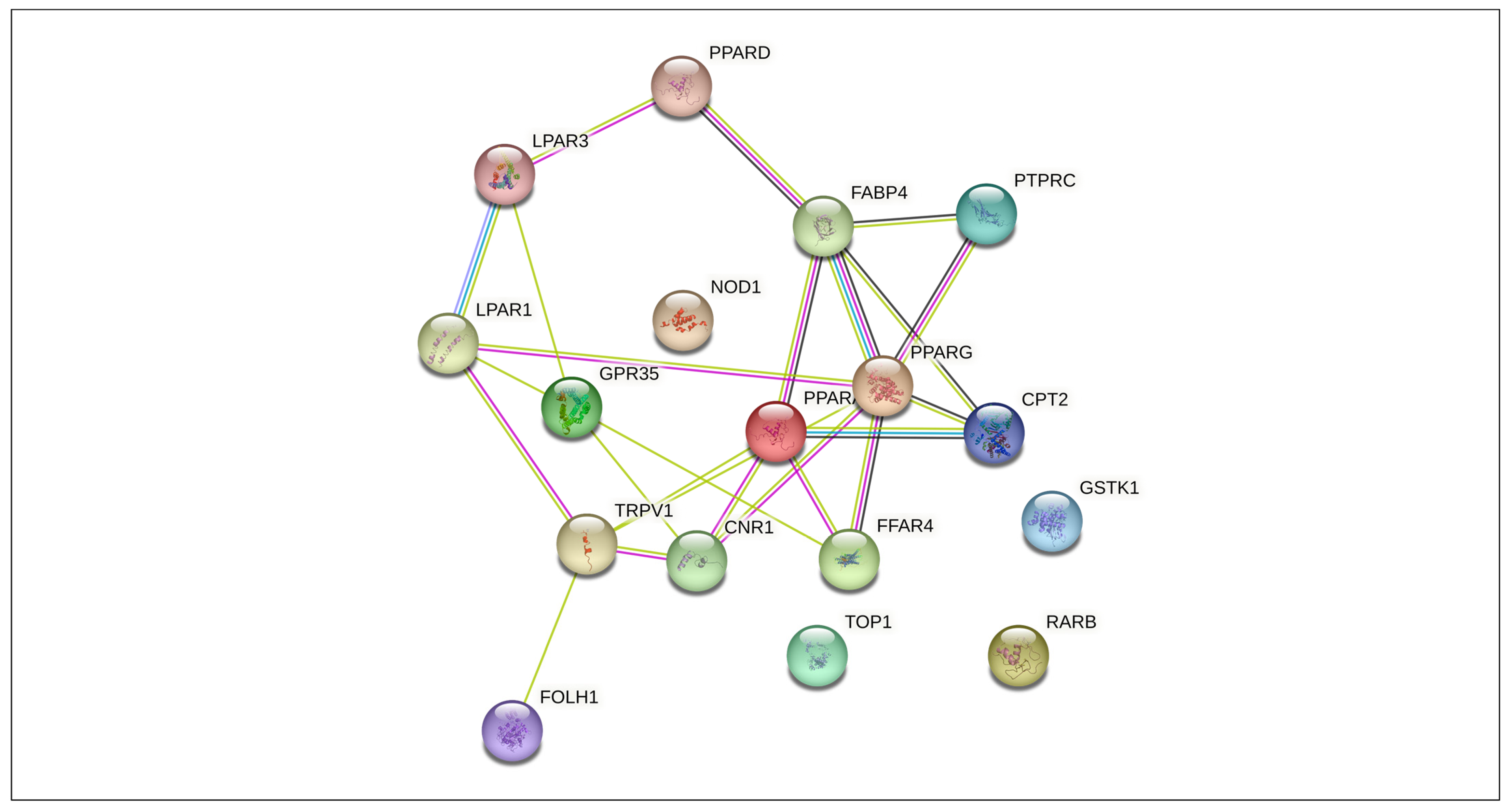 Endocrines 04 00026 g003