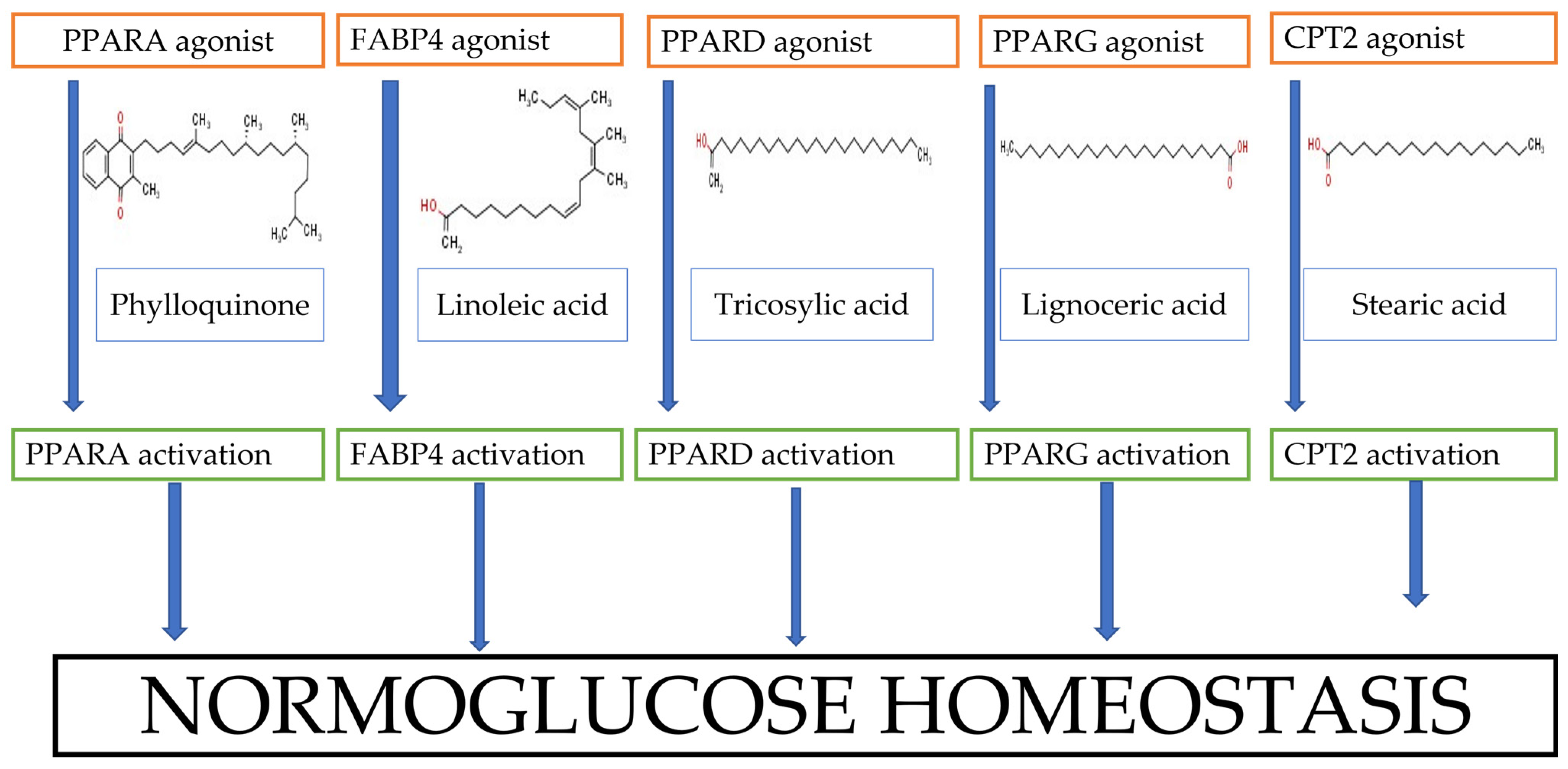 Endocrines 04 00026 g011