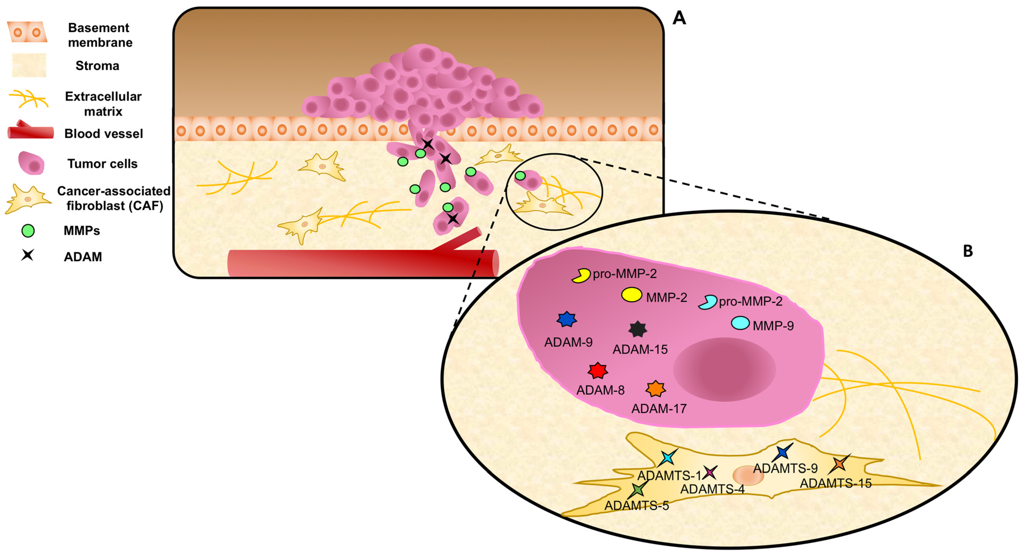 Endocrines 04 00027 g003