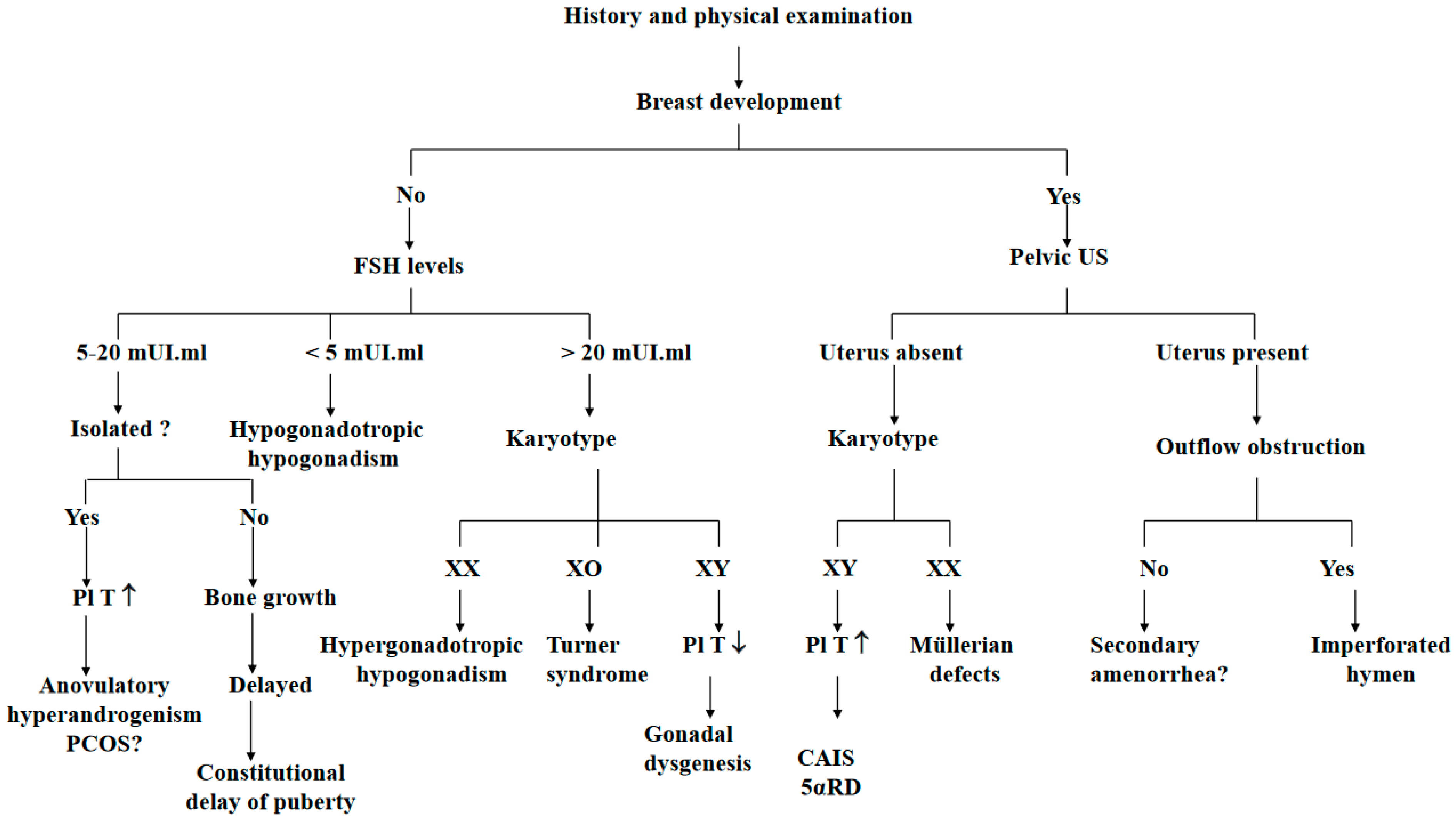 Endocrines 04 00038 g002 Endocrines 04 00038 g002