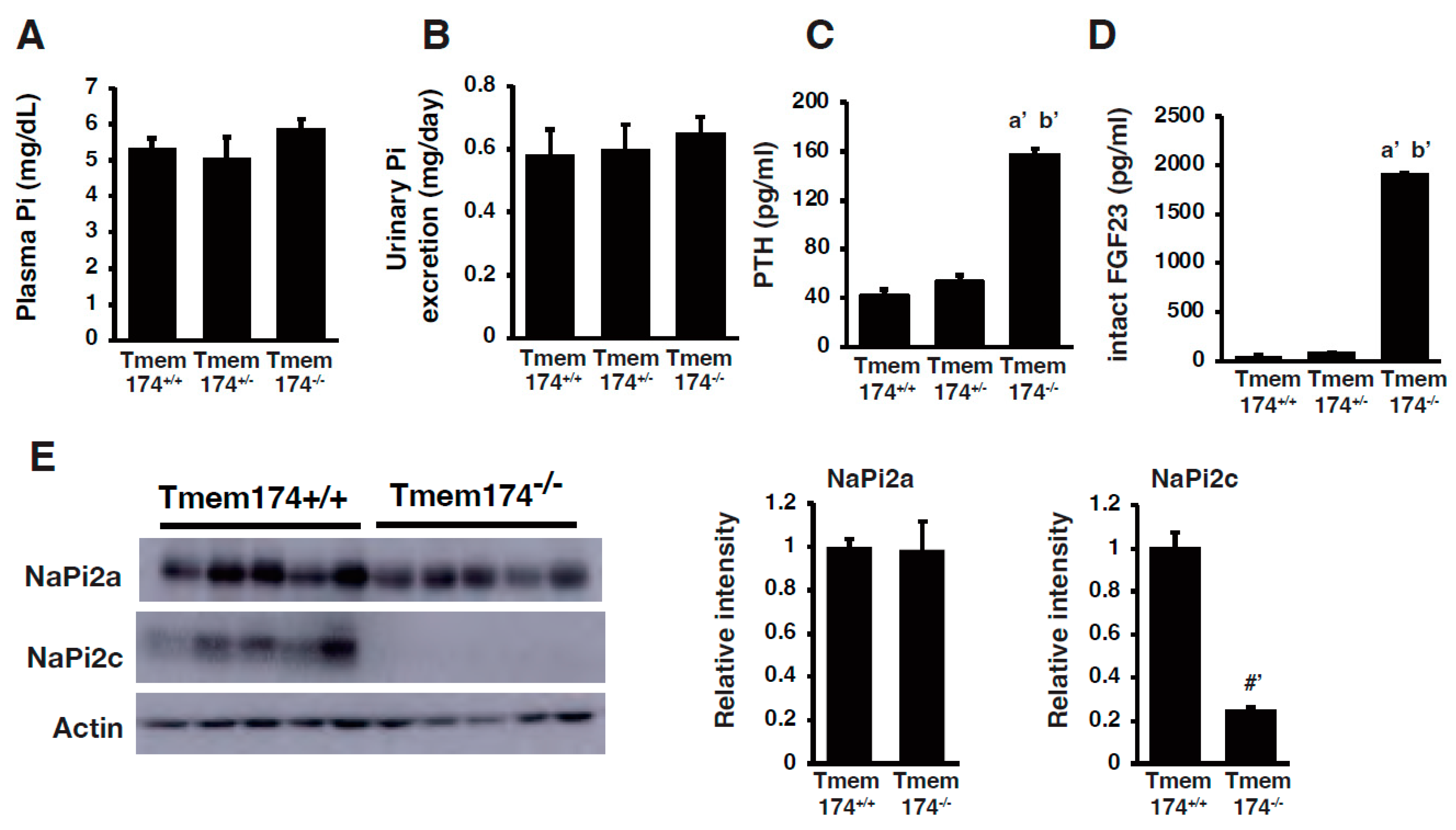 Endocrines 04 00043 g002