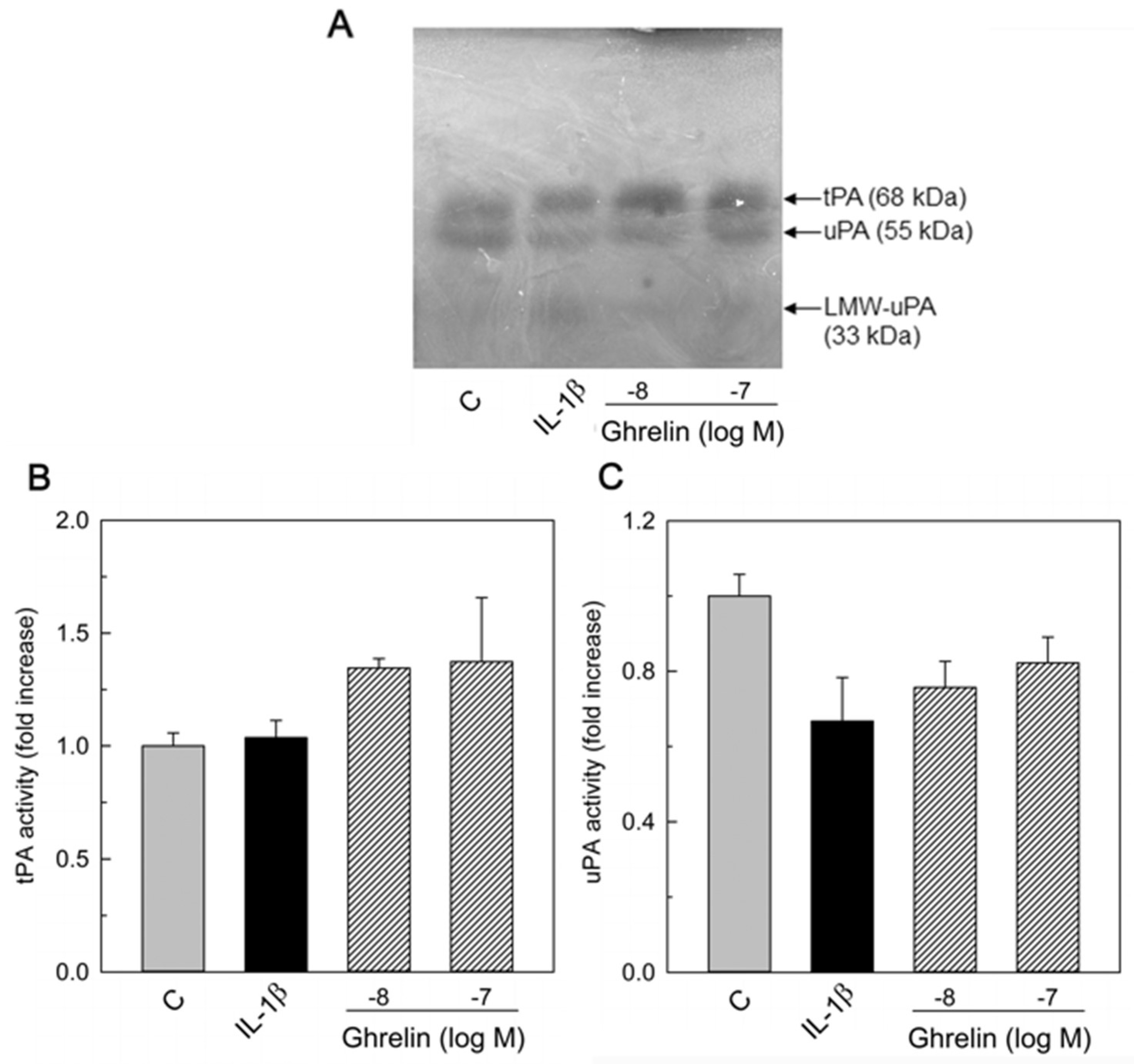 Endocrines 05 00002 g003