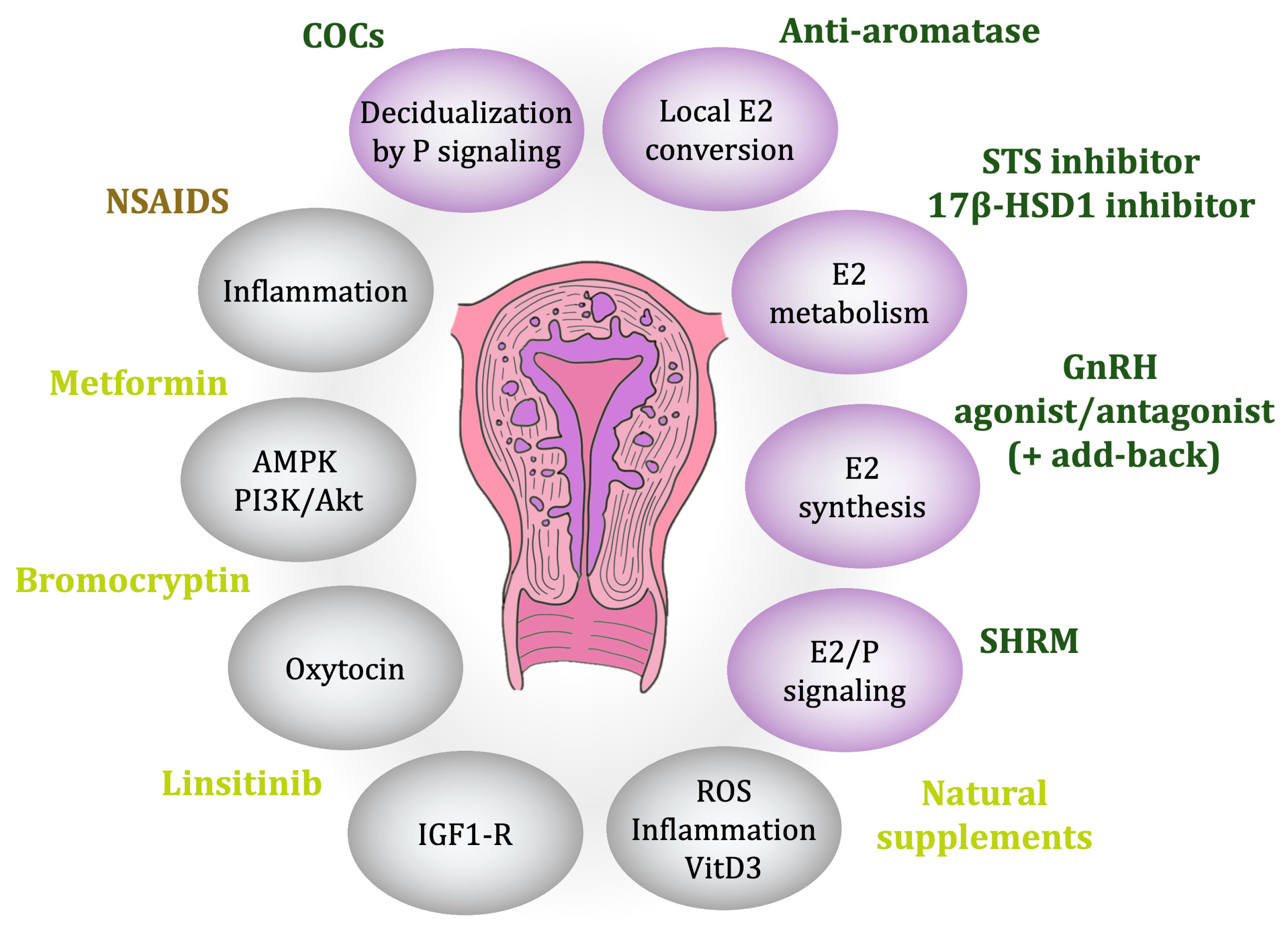 Endocrines 05 00004 g003 Endocrines 05 00004 g003