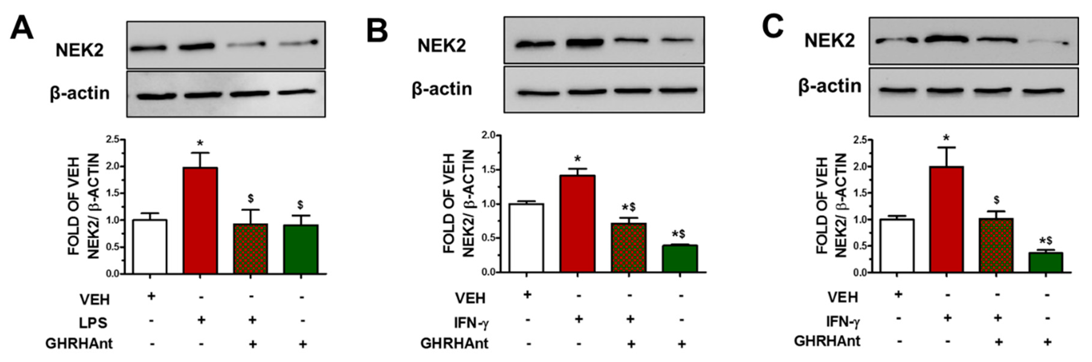 Endocrines 05 00008 g003