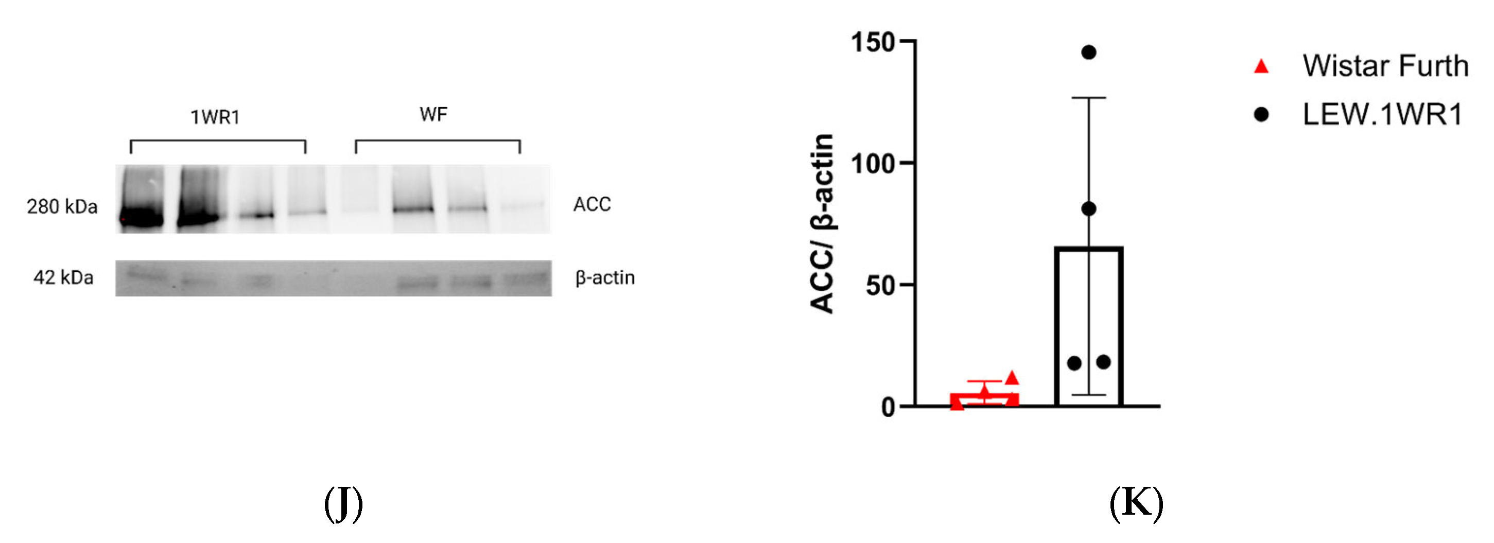 Endocrines 05 00012 g003b