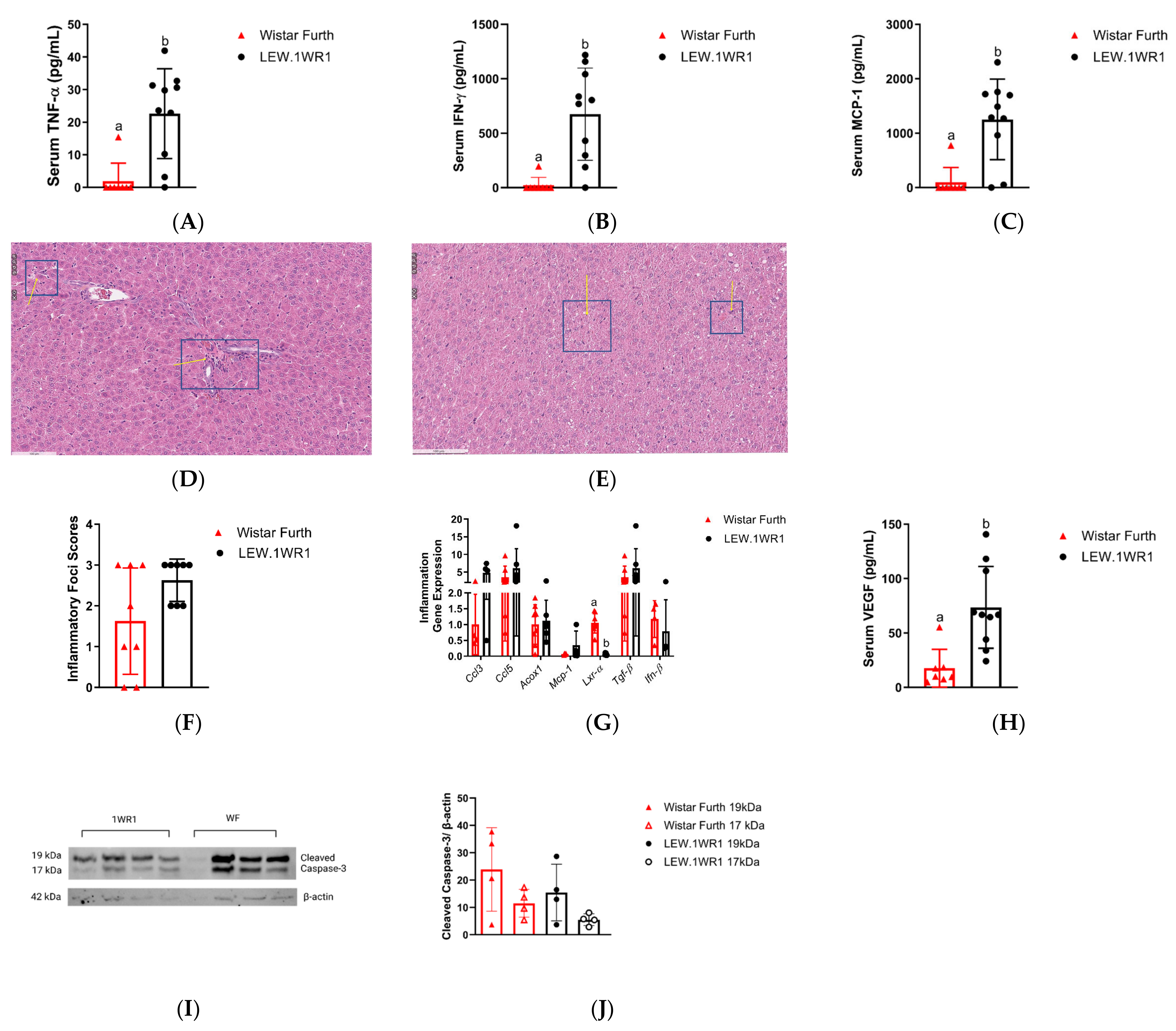 Endocrines 05 00012 g004
