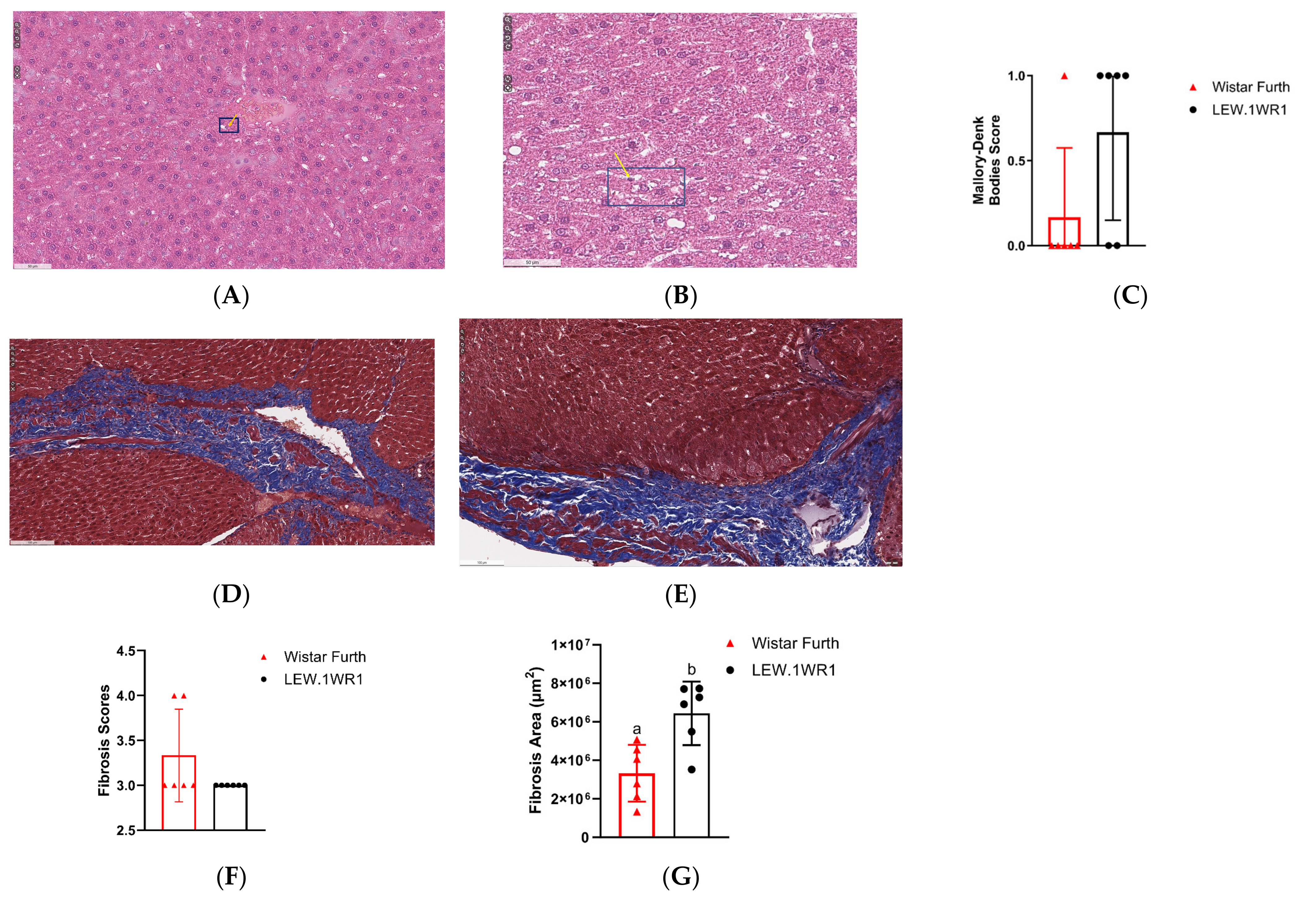 Endocrines 05 00012 g005a