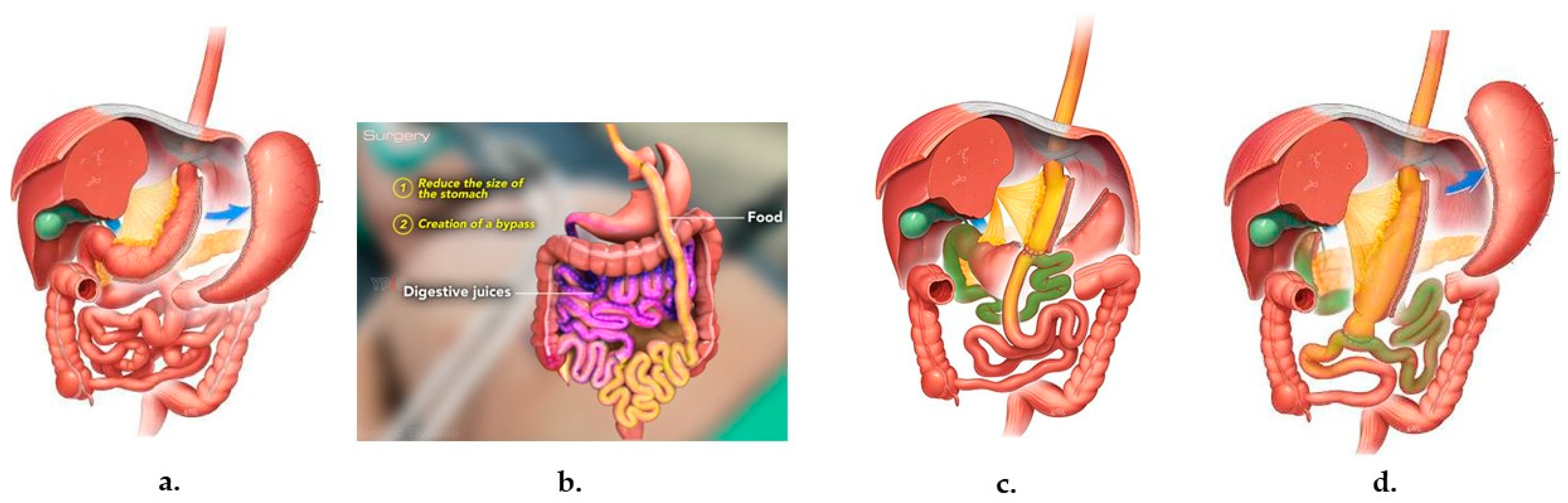 Endocrines 05 00029 g001