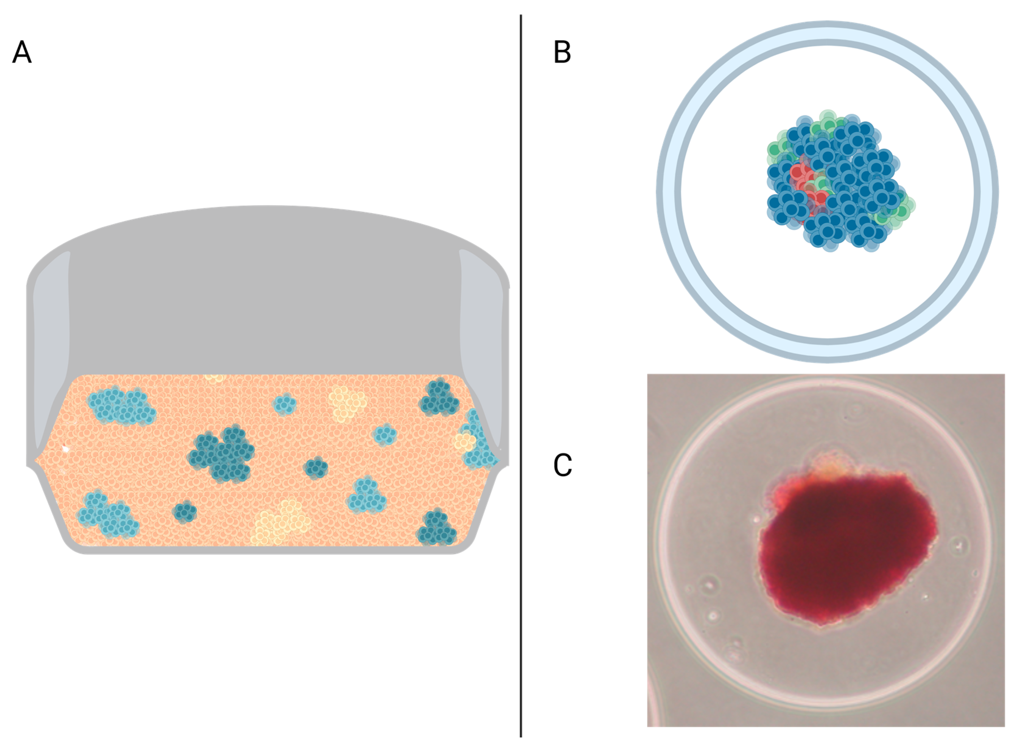 Endocrines 05 00034 g002