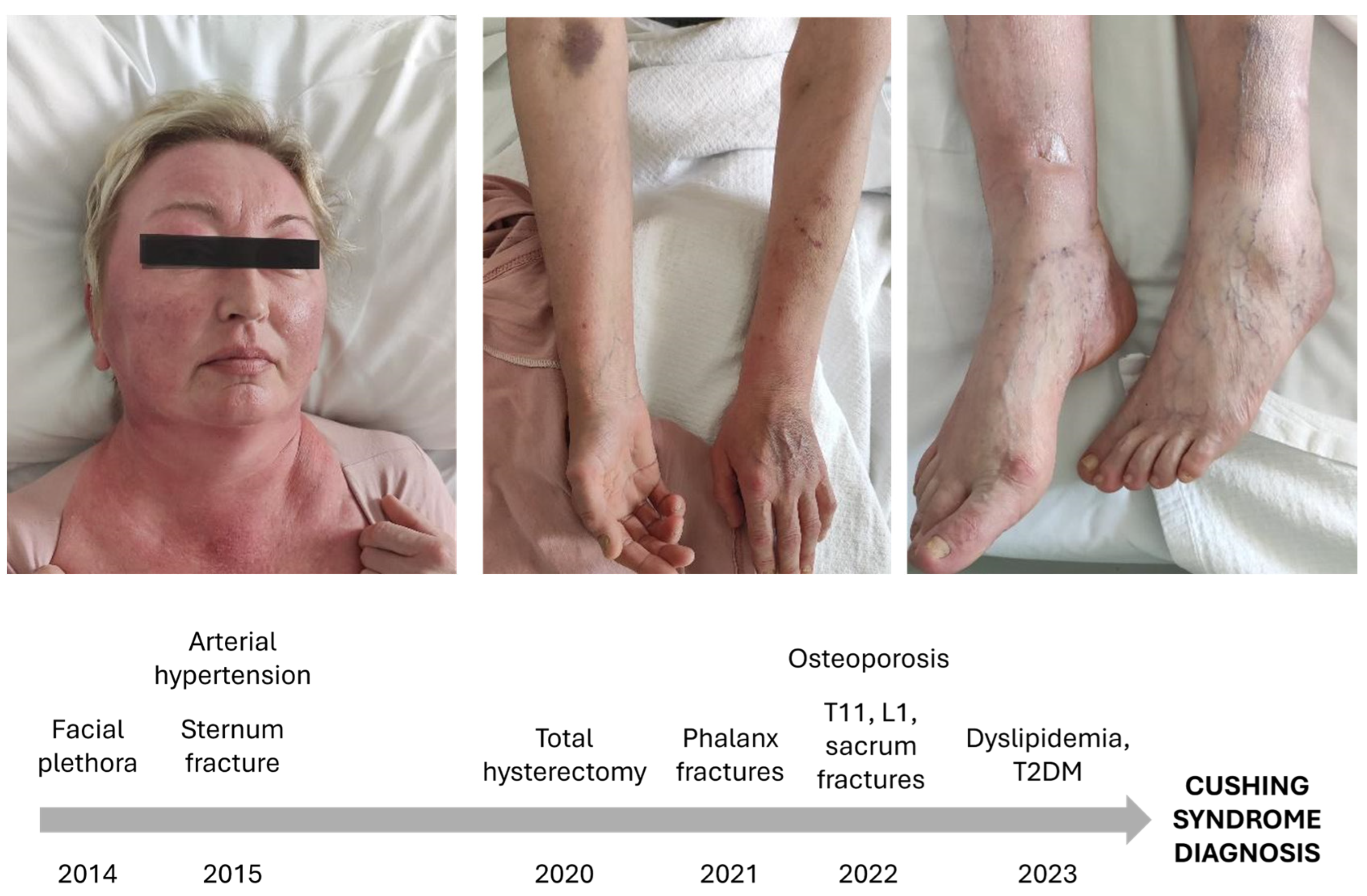 Endocrines 05 00043 g001