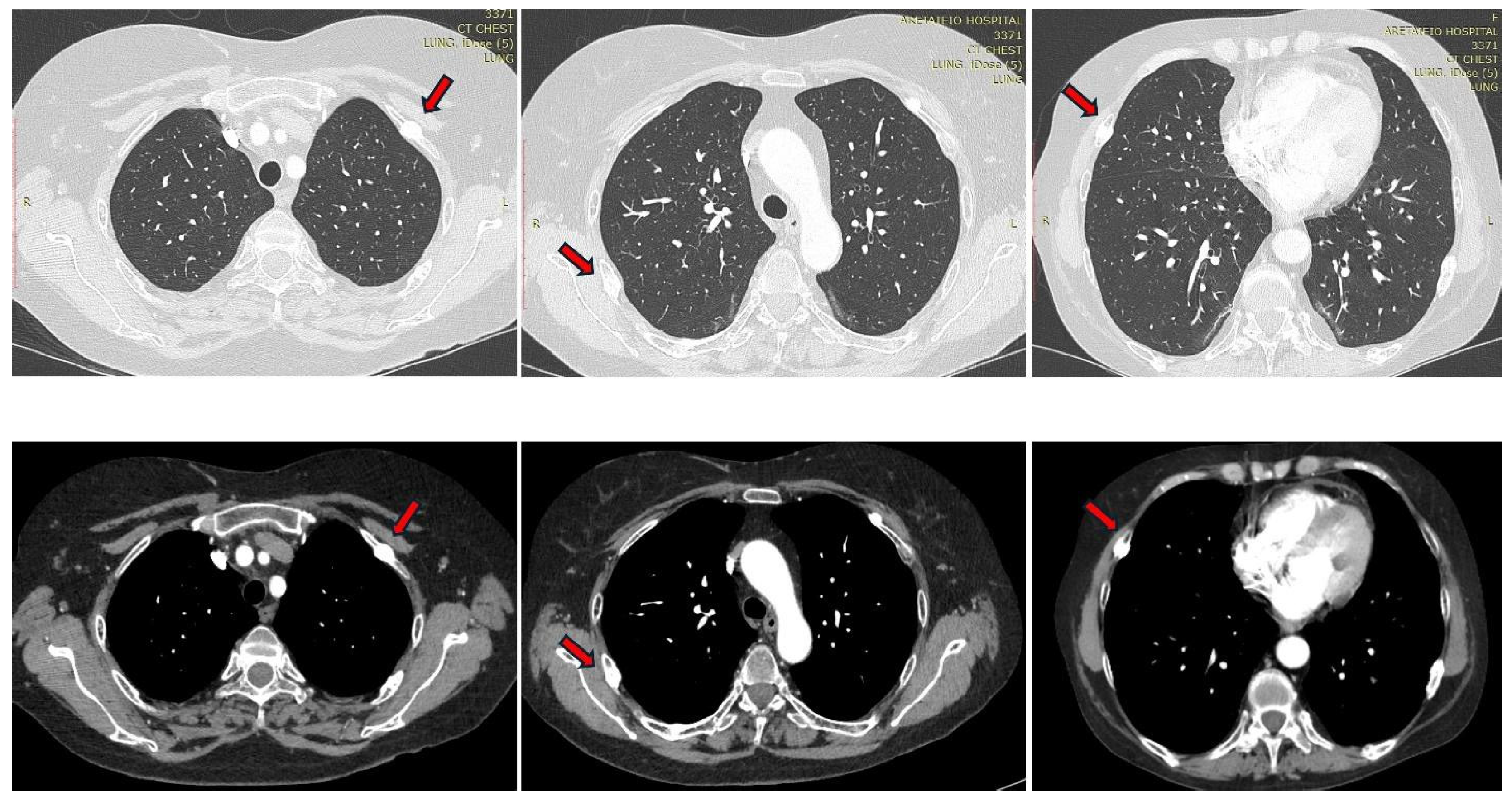 Endocrines 05 00043 g004