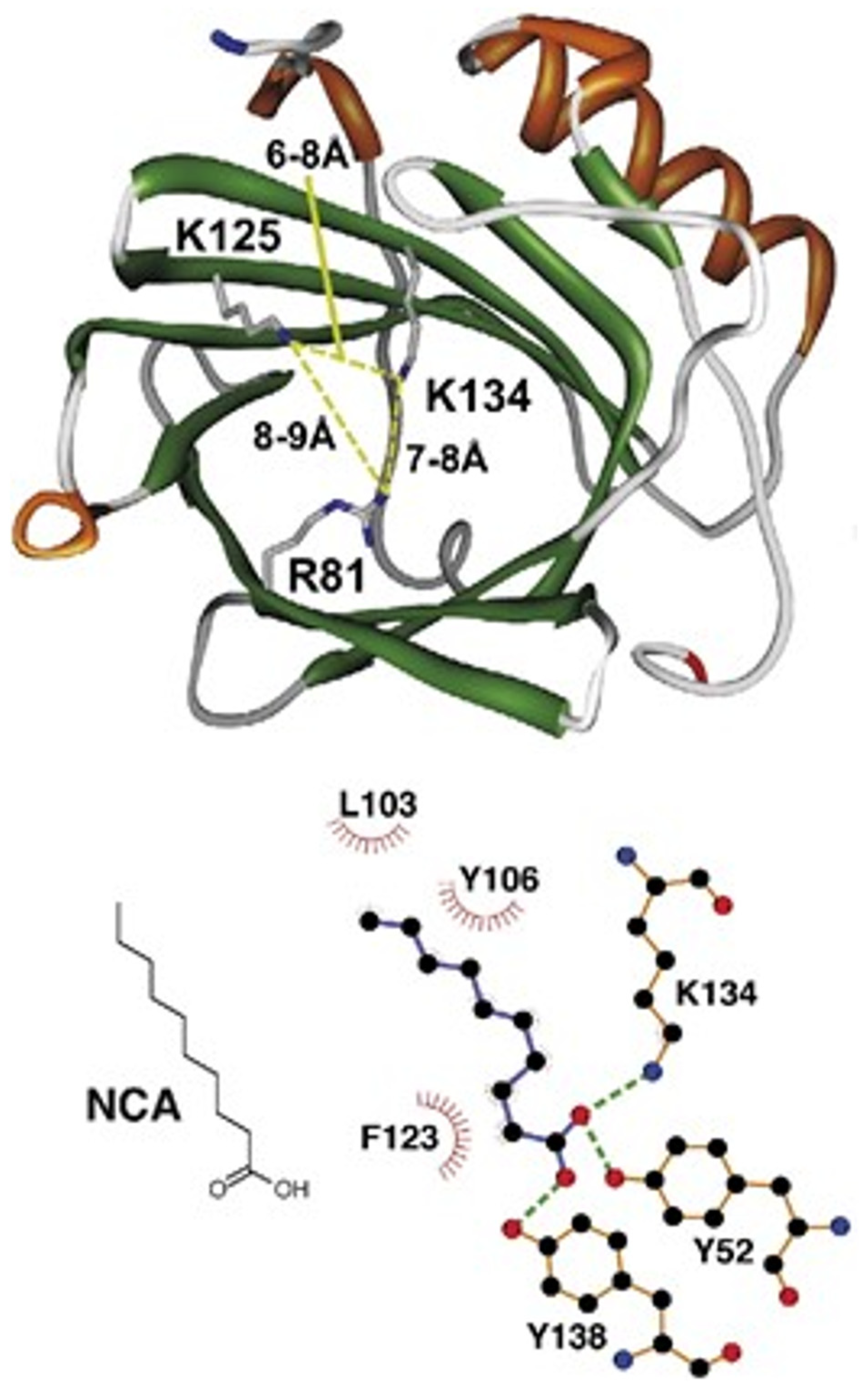 Endocrines 06 00004 g001