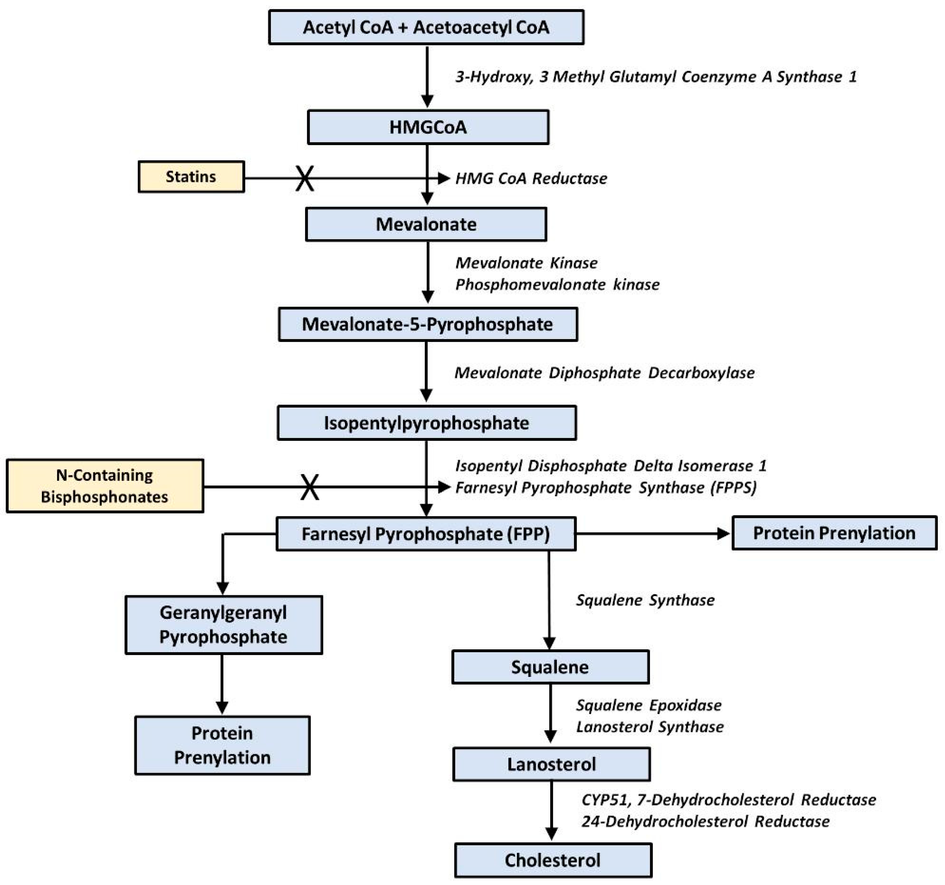 Endocrines 06 00019 g001
