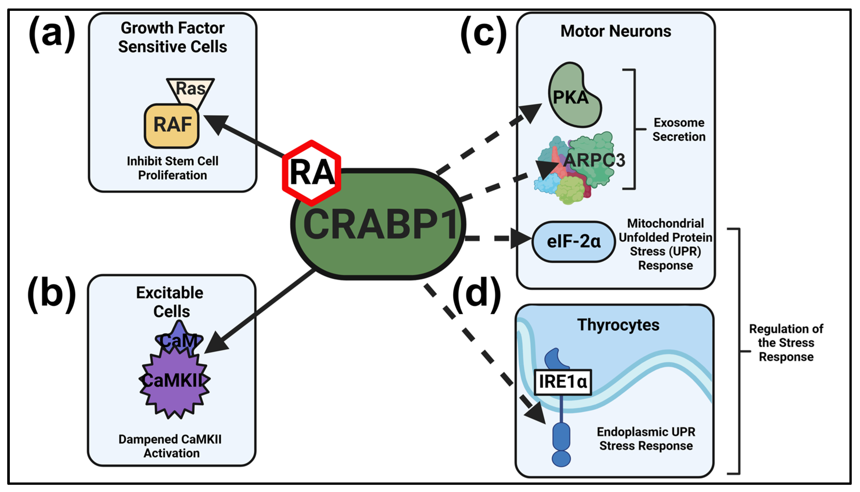 Endocrines 06 00026 g001