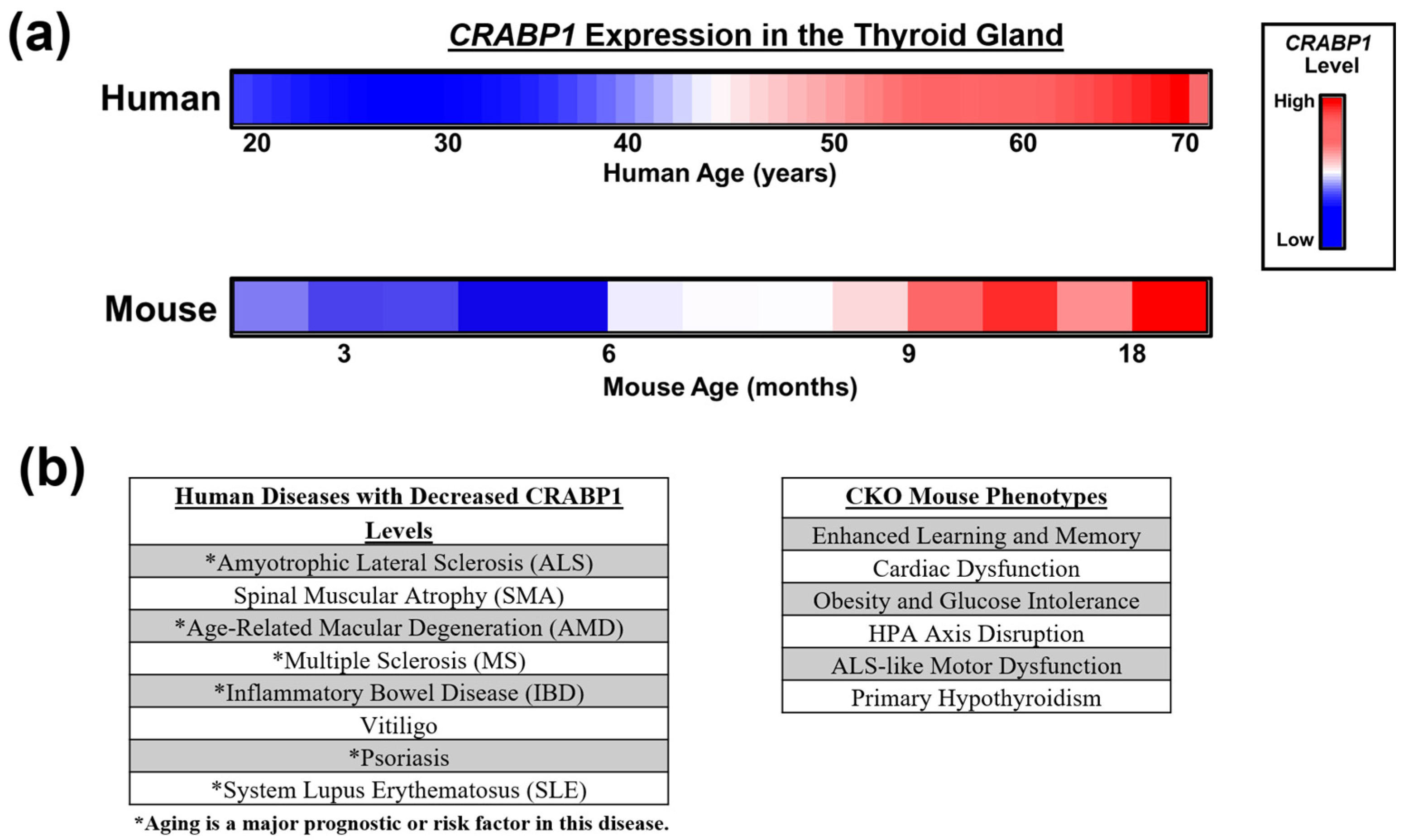 Endocrines 06 00026 g002