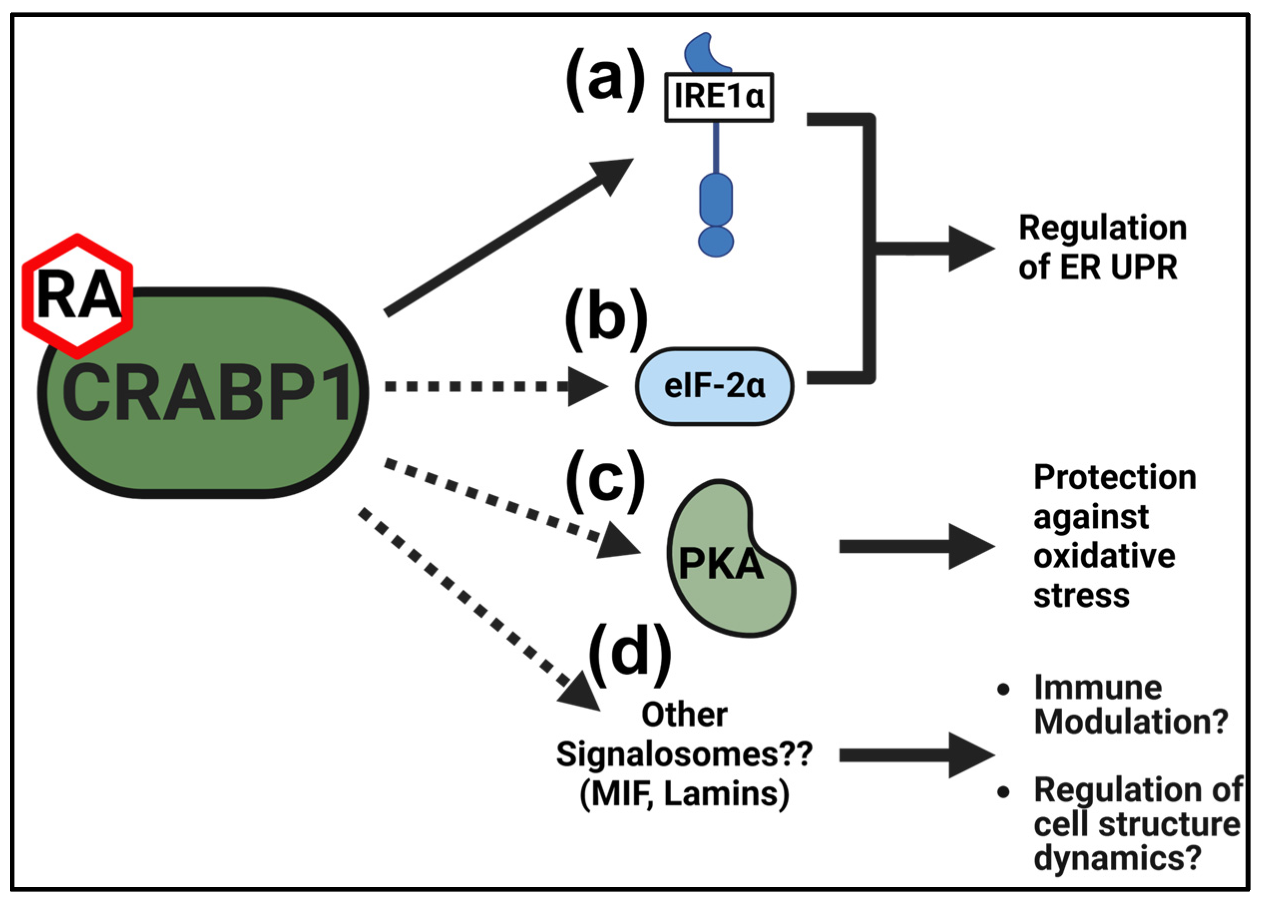 Endocrines 06 00026 g003