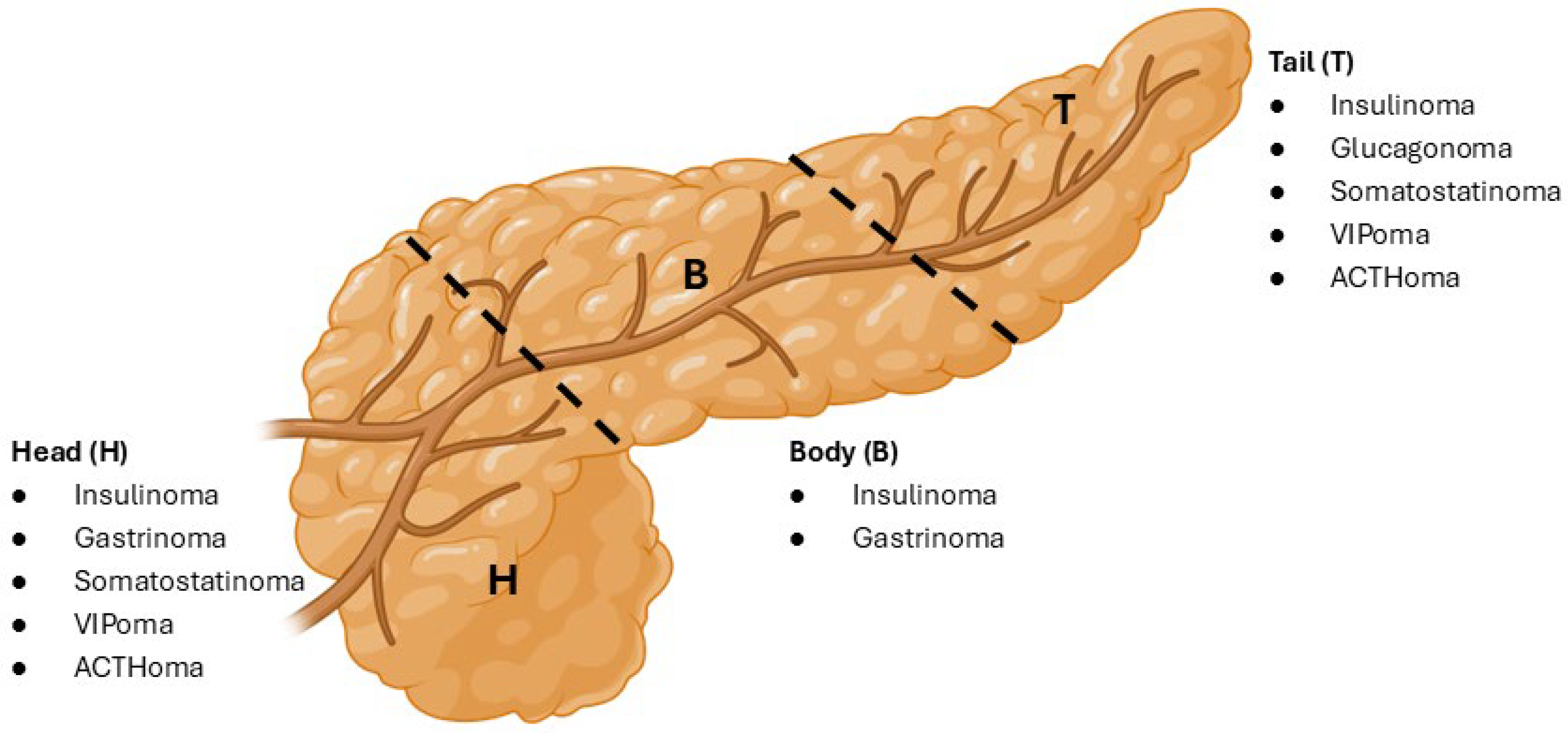 Endocrines 06 00038 g001 Endocrines 06 00038 g001