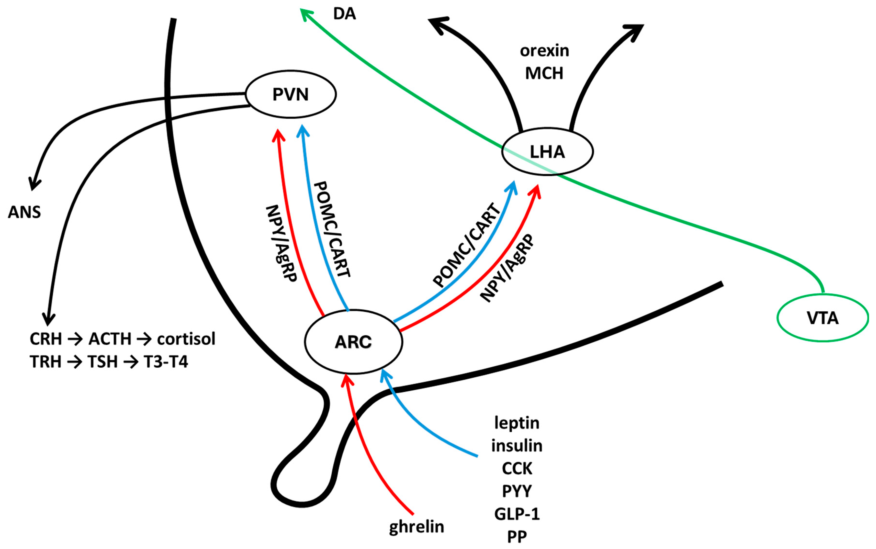 Endocrines 06 00043 g001