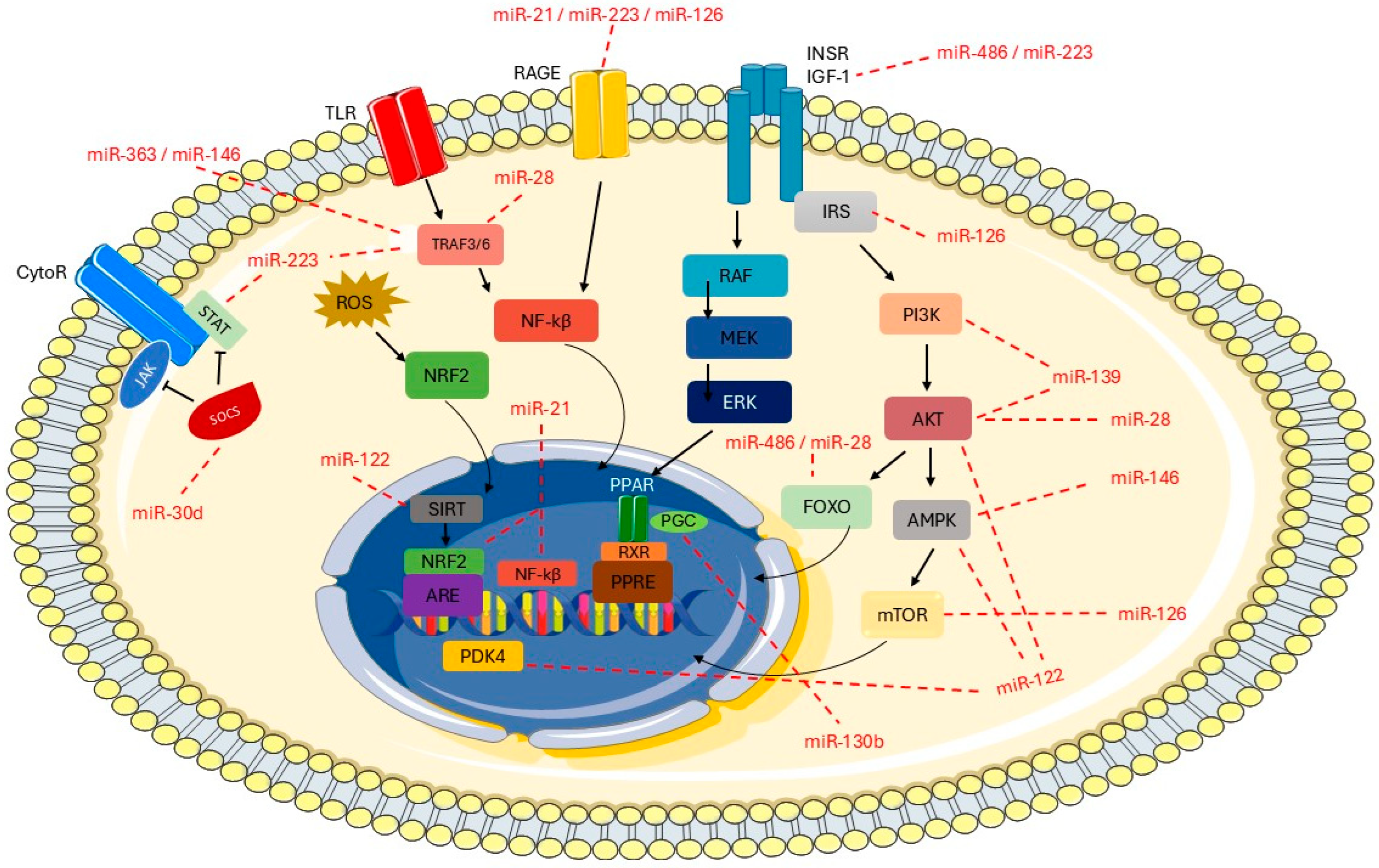 Endocrines 06 00051 g005