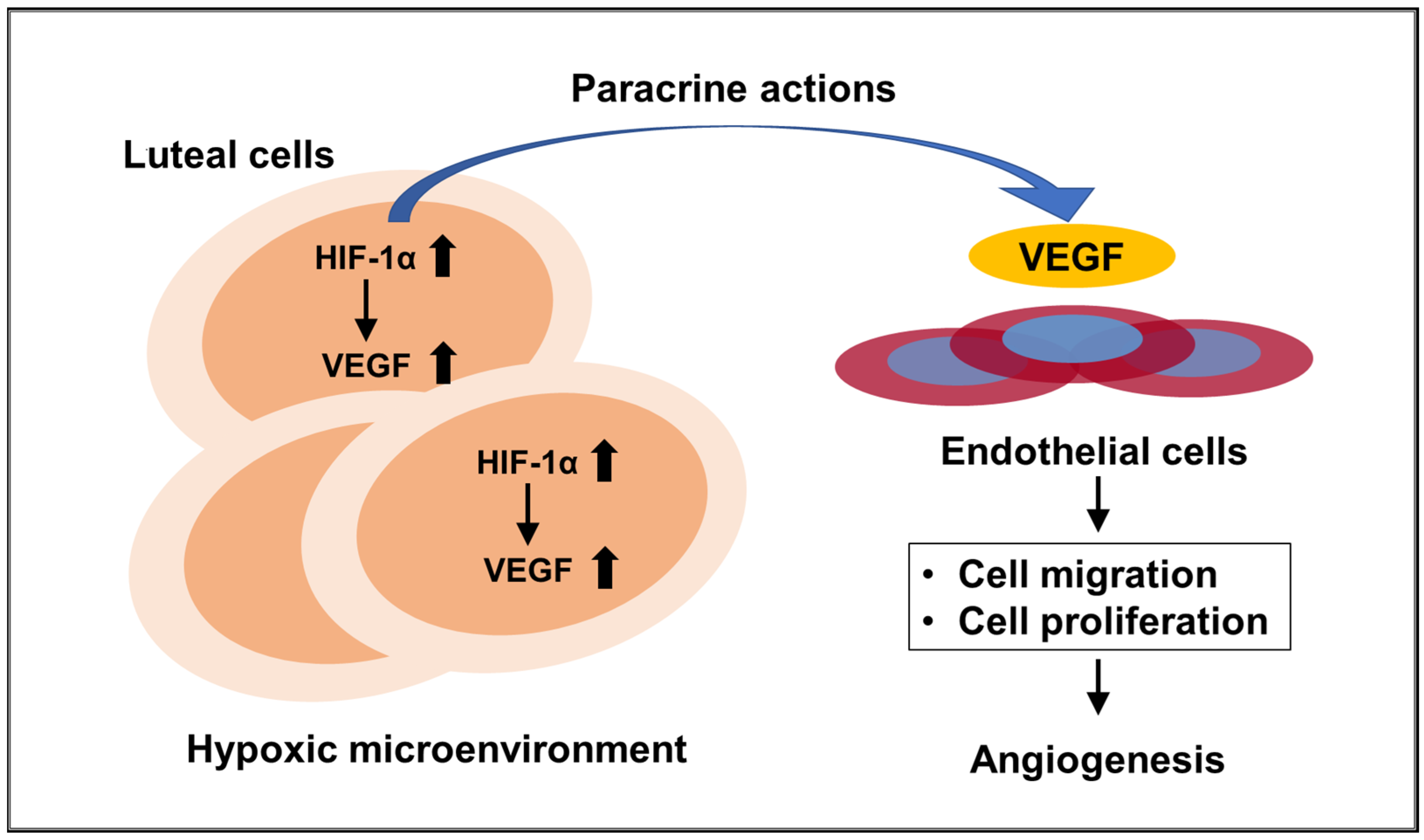 Endocrines 06 00053 g001 Endocrines 06 00053 g001