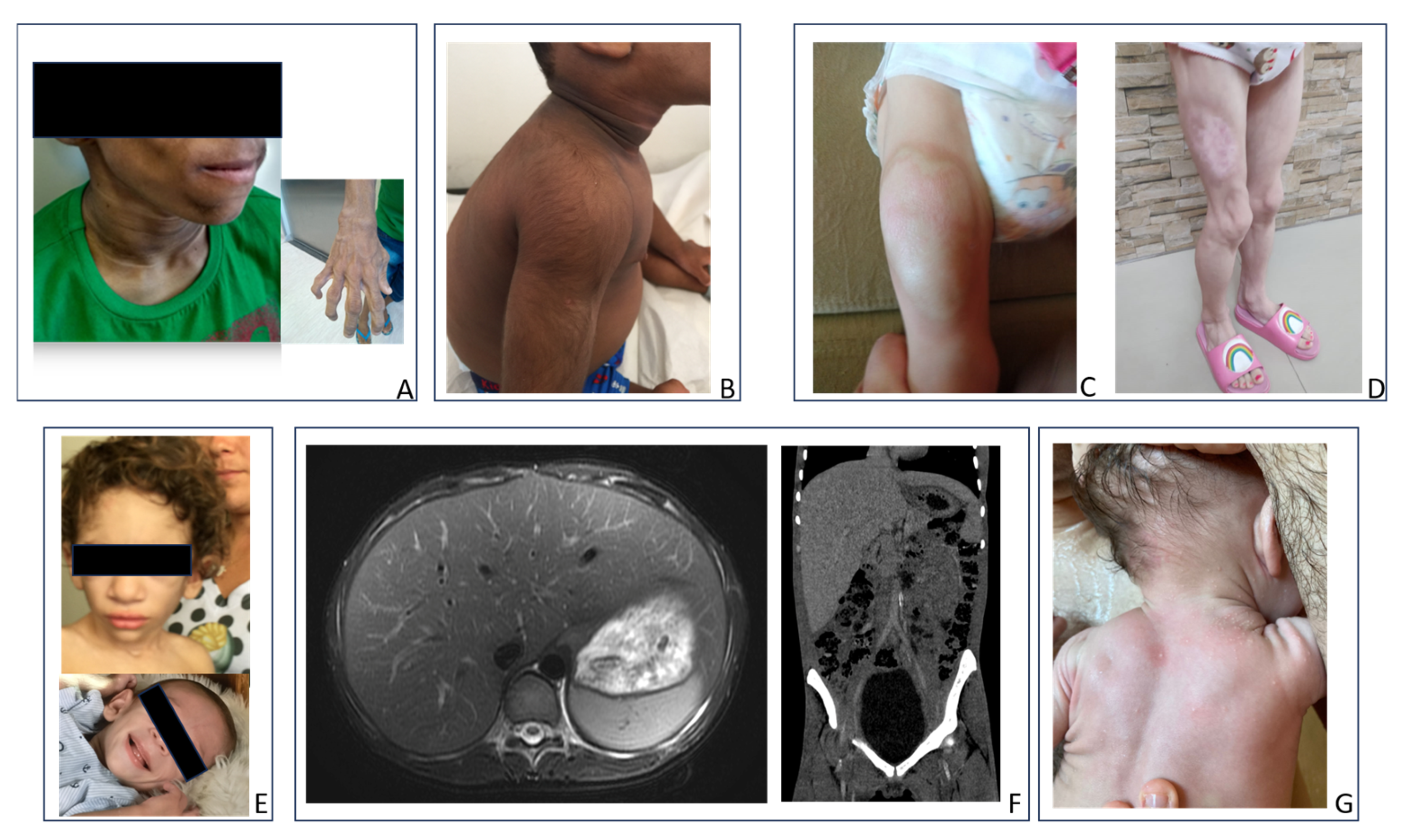 Endocrines 06 00055 g001