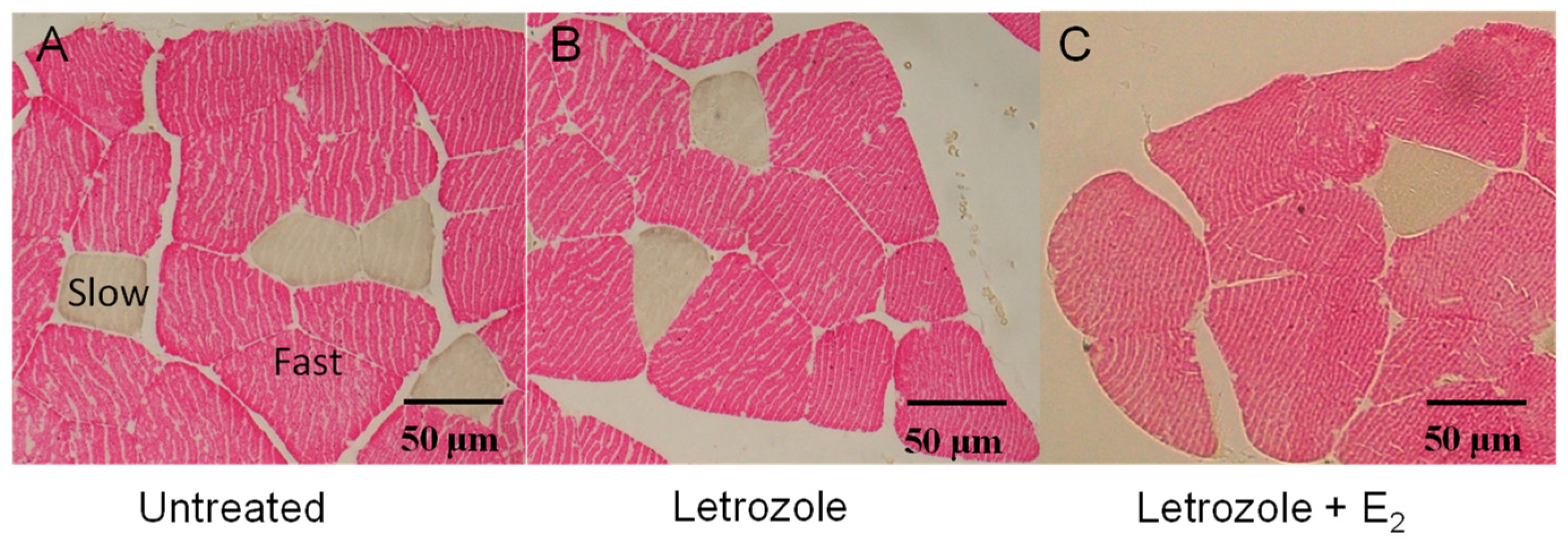 Endocrines 07 00001 g002