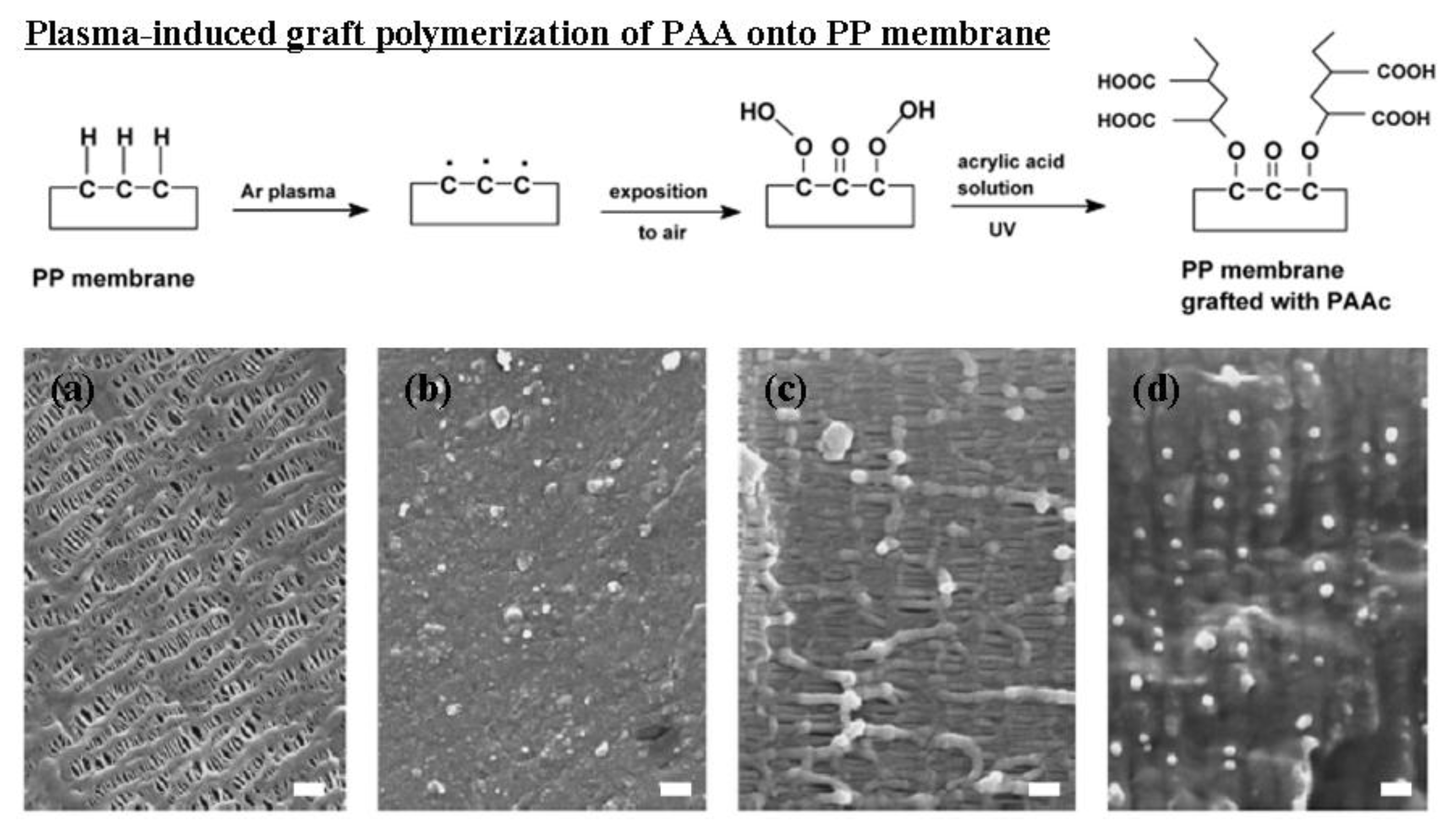 Energies 03 00866 g003