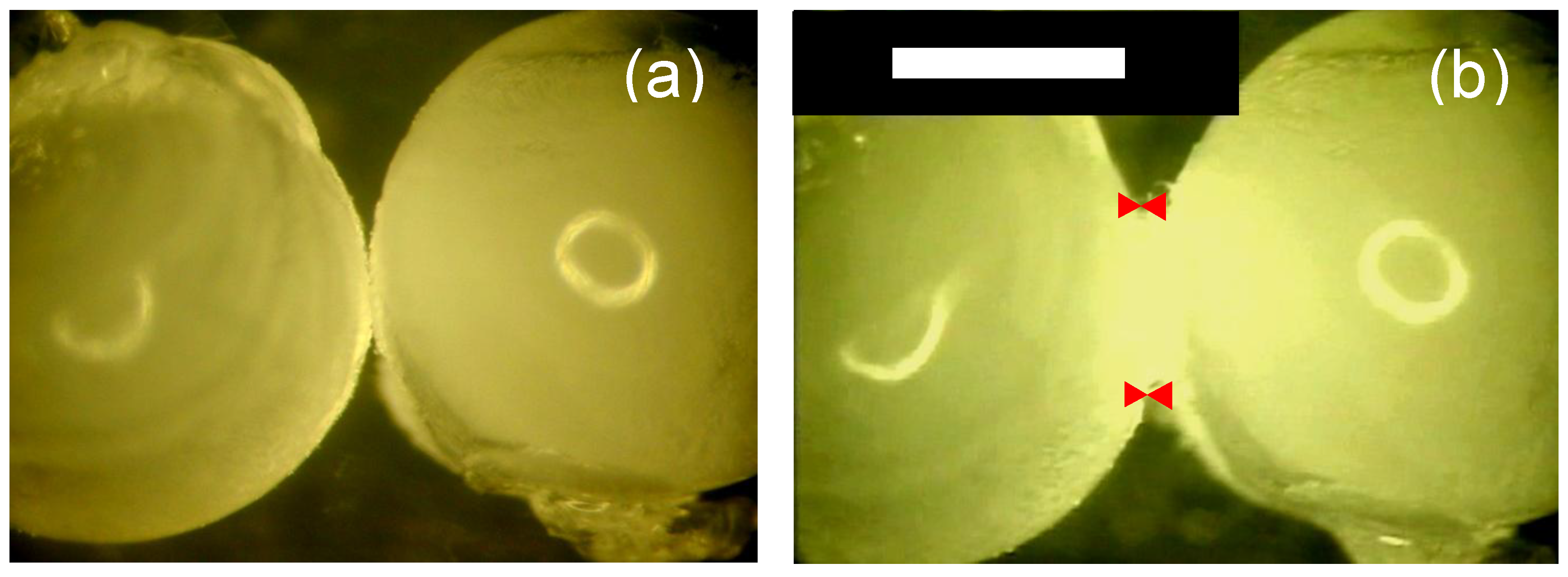 Energies 03 01960 g001 1024