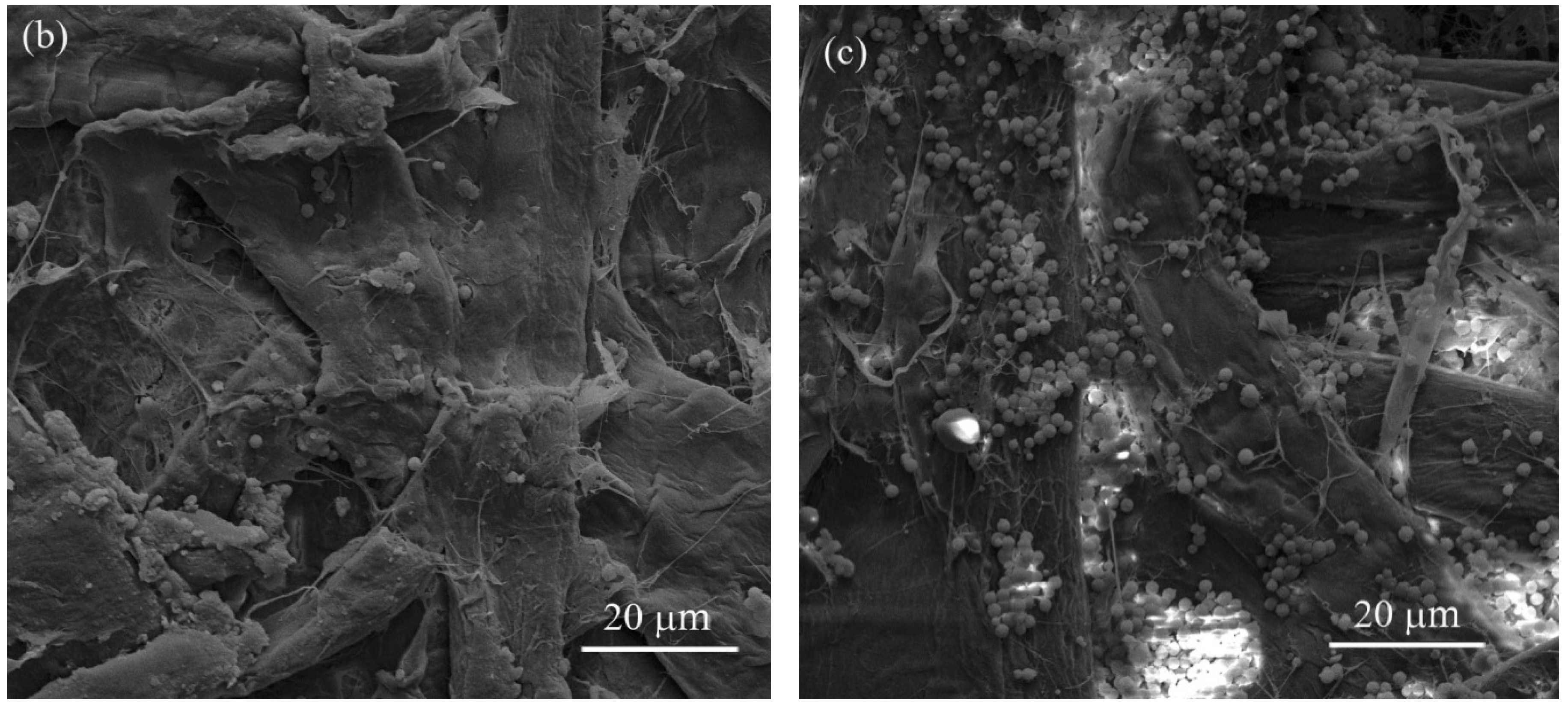 Energies 05 02943 g001b 1024