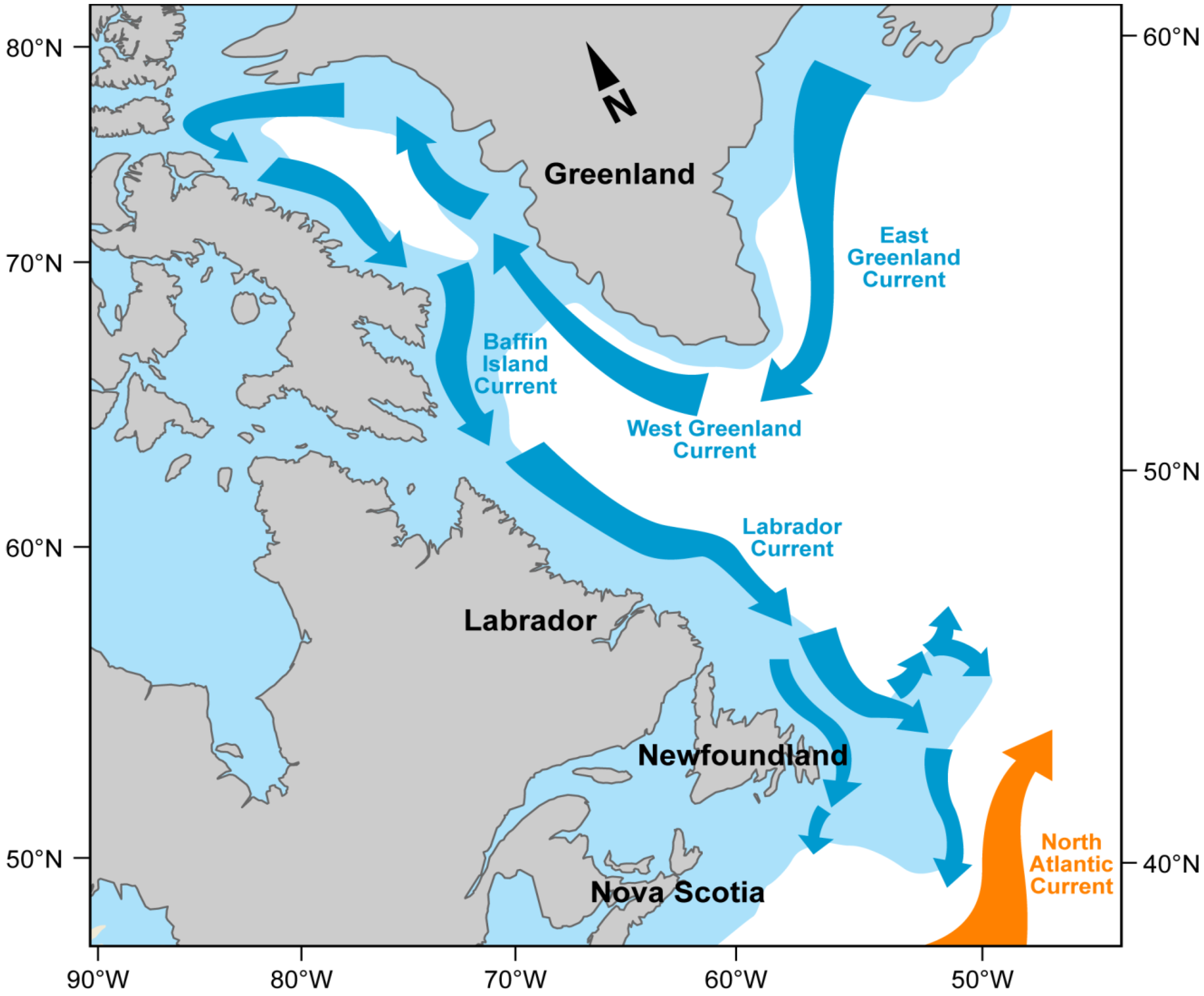 Направление течений атлантического. Гольфстрим и Лабрадорское течение. Океан течение Гольфстрим. Лабрадорское течение течения Атлантического океана. Лабрадорское течение течения Атлантического океана Холодное.