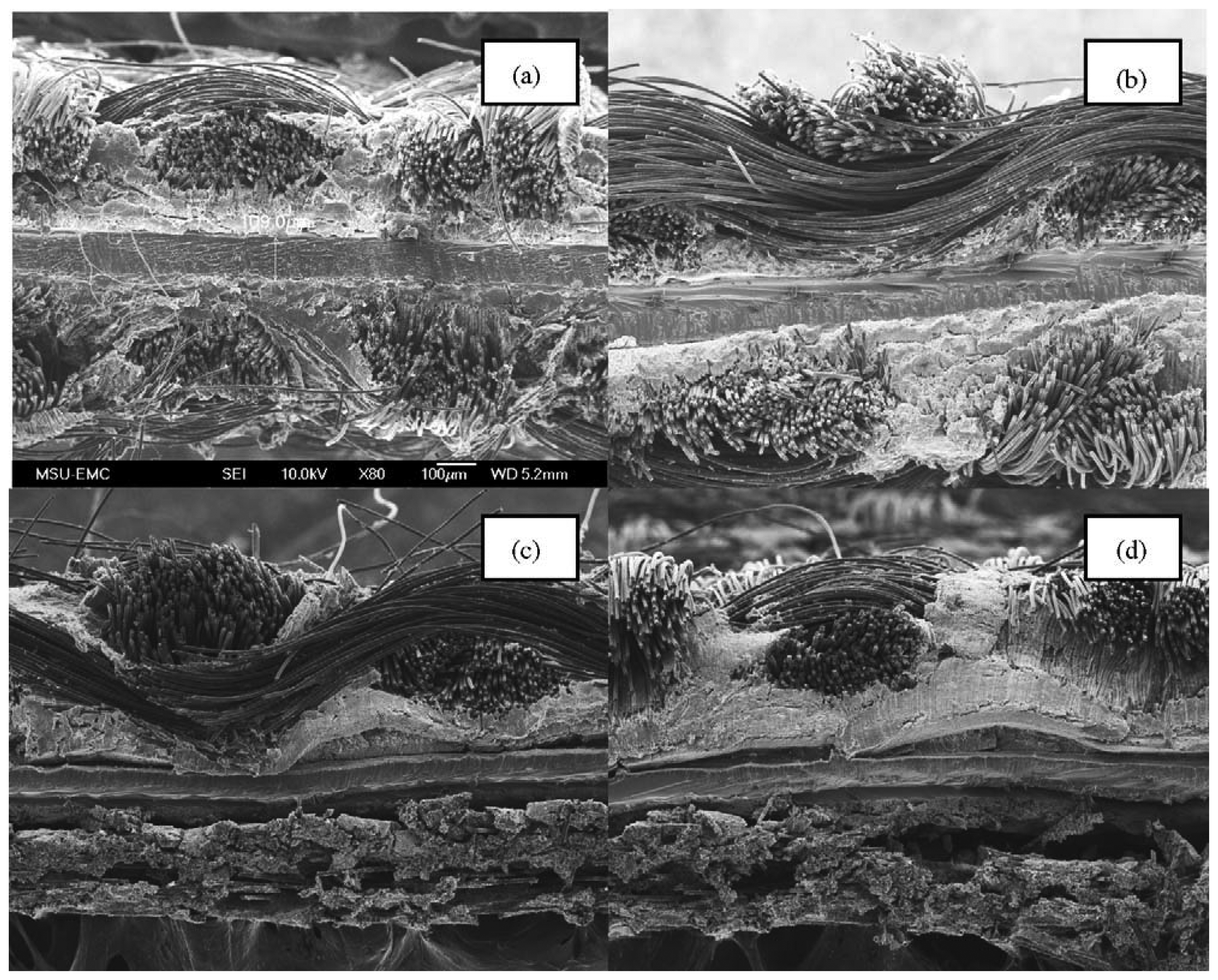Energies 07 03179f4 1024