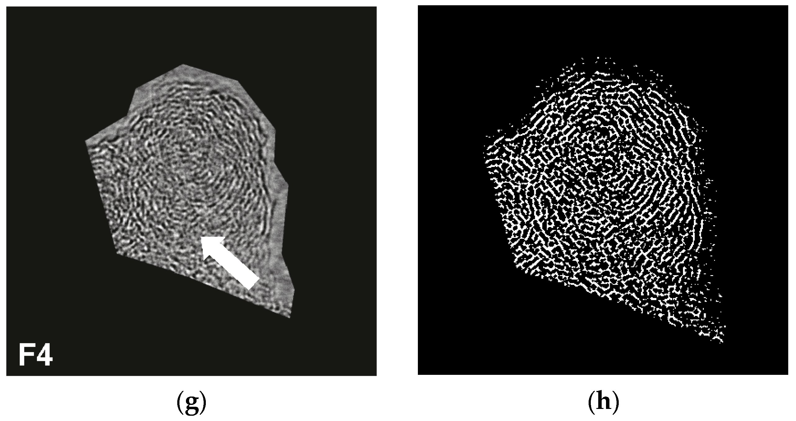 Energies 10 00122 g005b 550