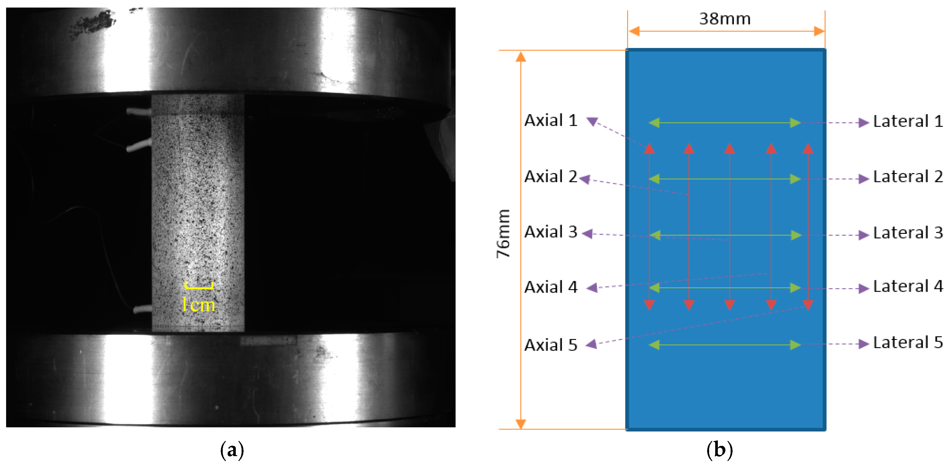Energies 10 00236 g004 550