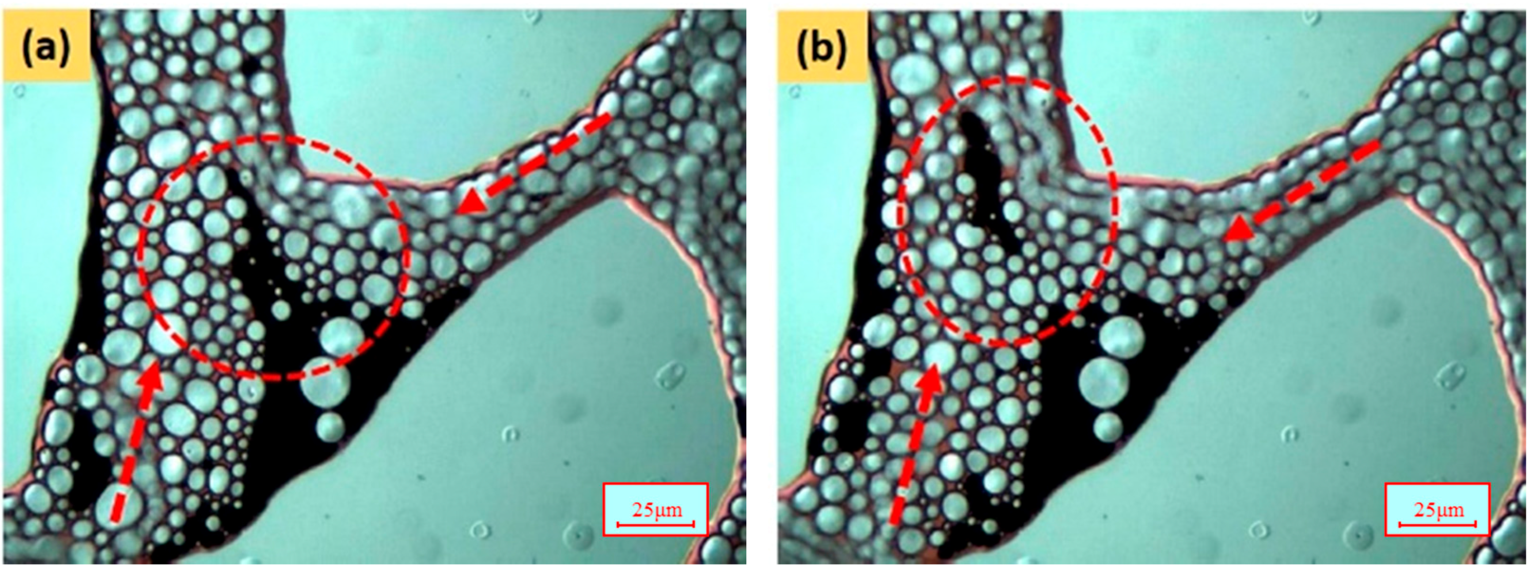Energies 10 00560 g027