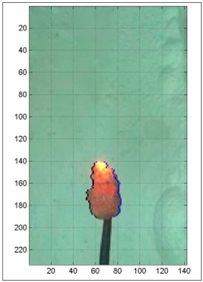 Energies 10 00603 i007