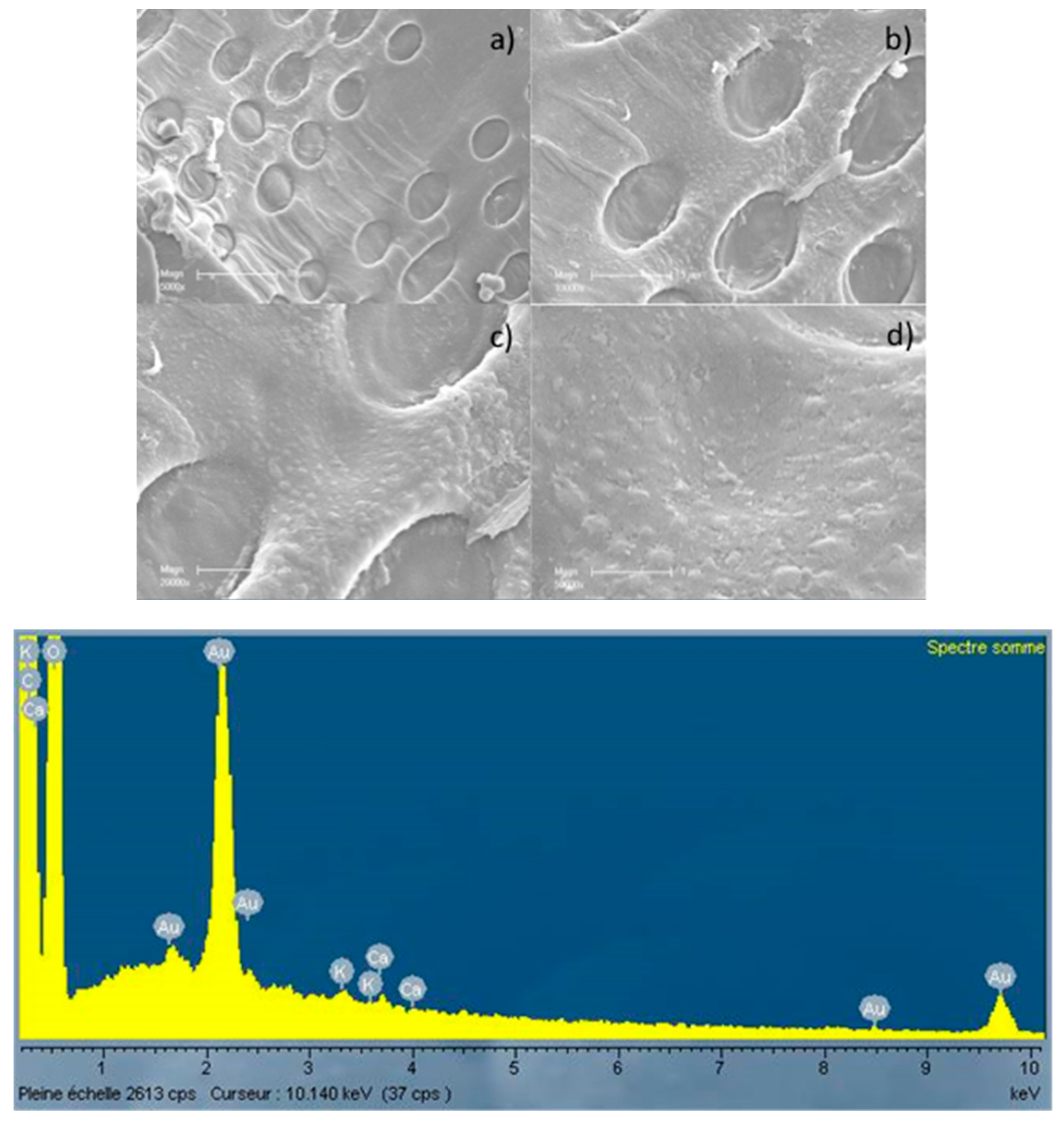 Energies 10 00796 g002 550