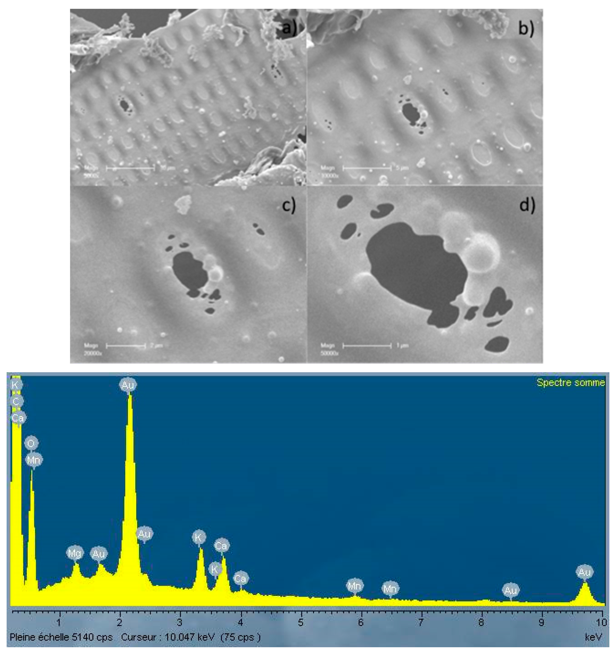 Energies 10 00796 g004 550