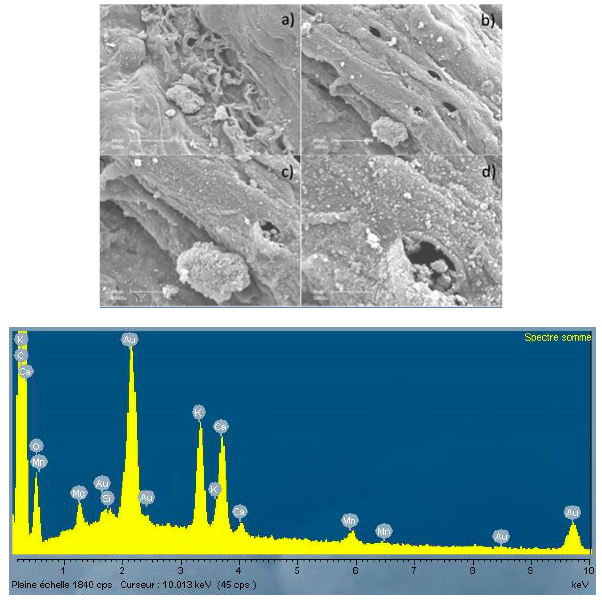 Energies 10 00796 g005 550