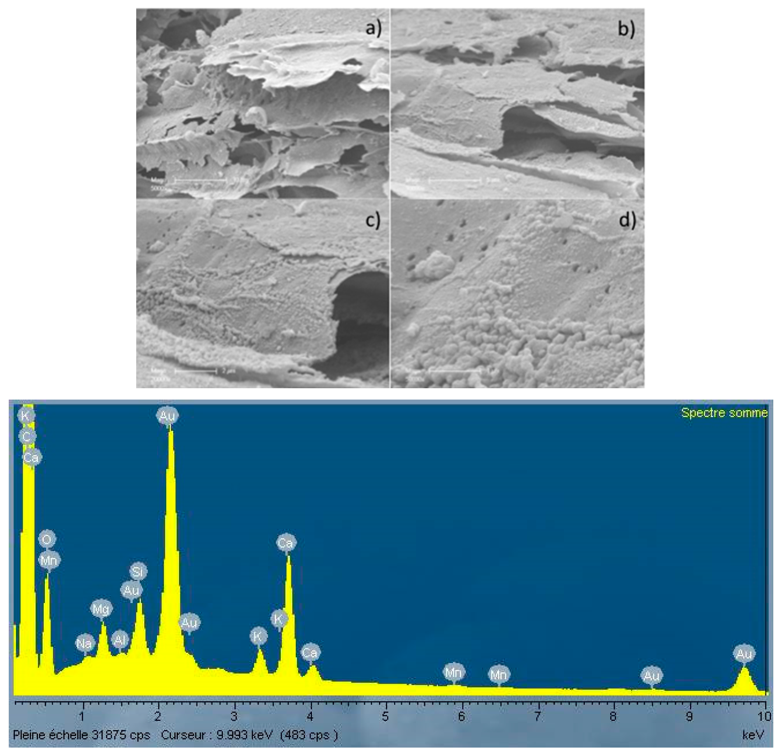 Energies 10 00796 g006 550