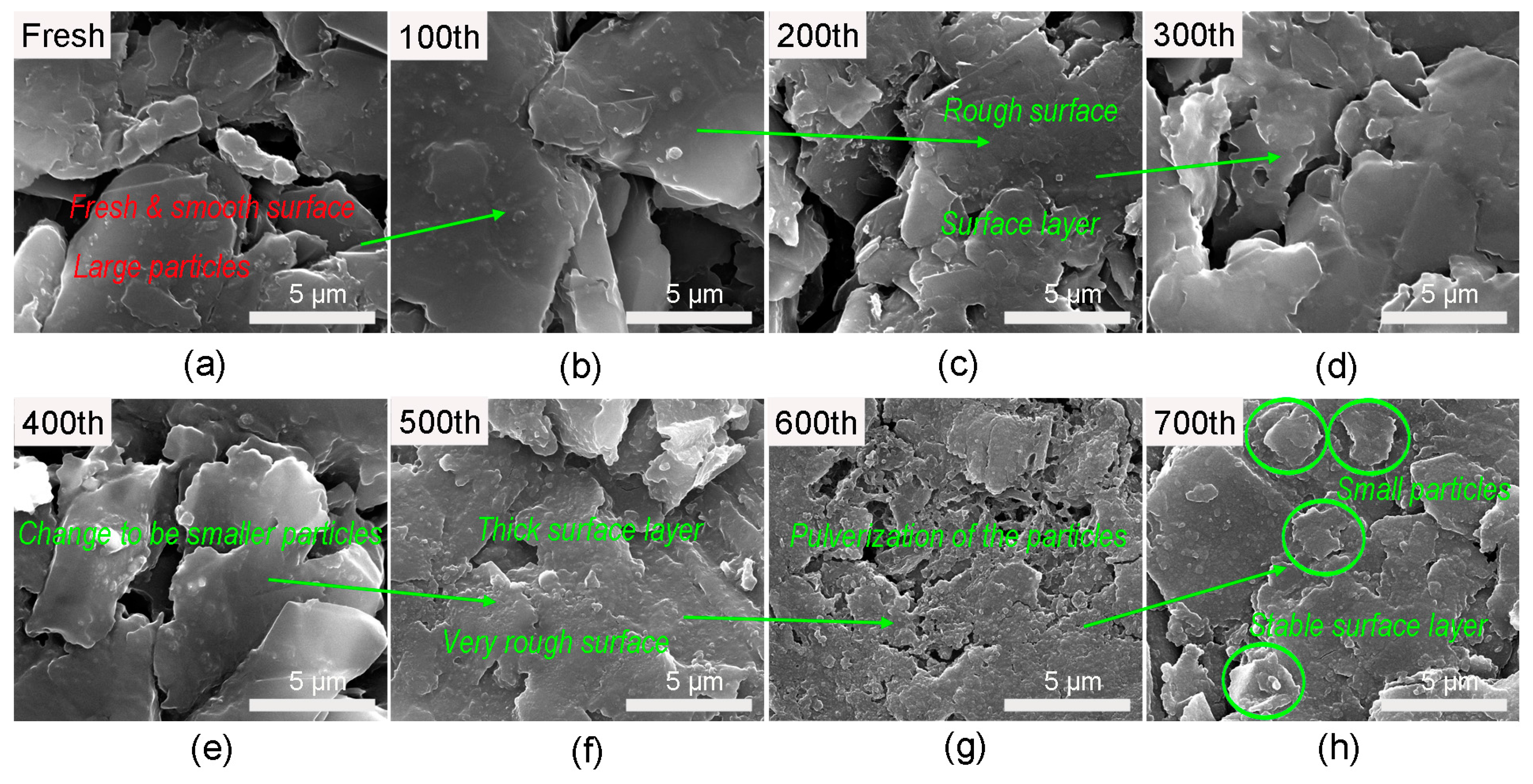 Energies 10 01147 g008 550