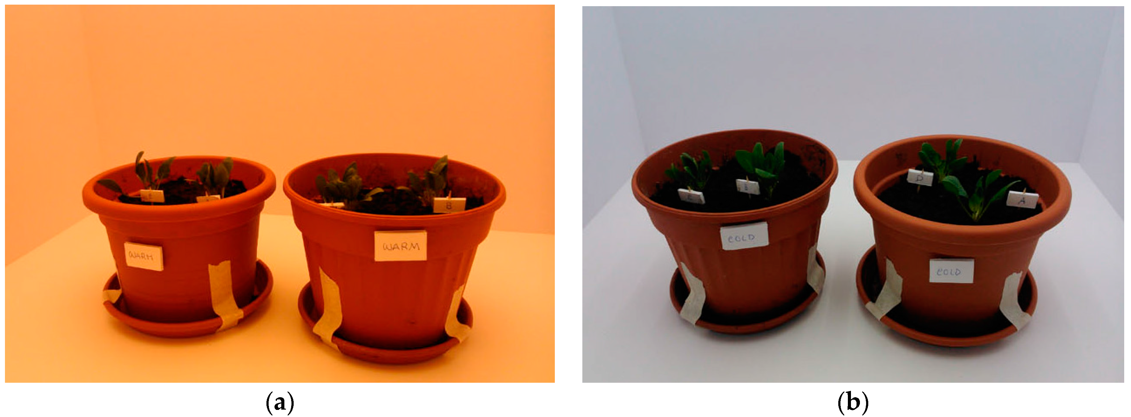 Energies 10 01383 g001