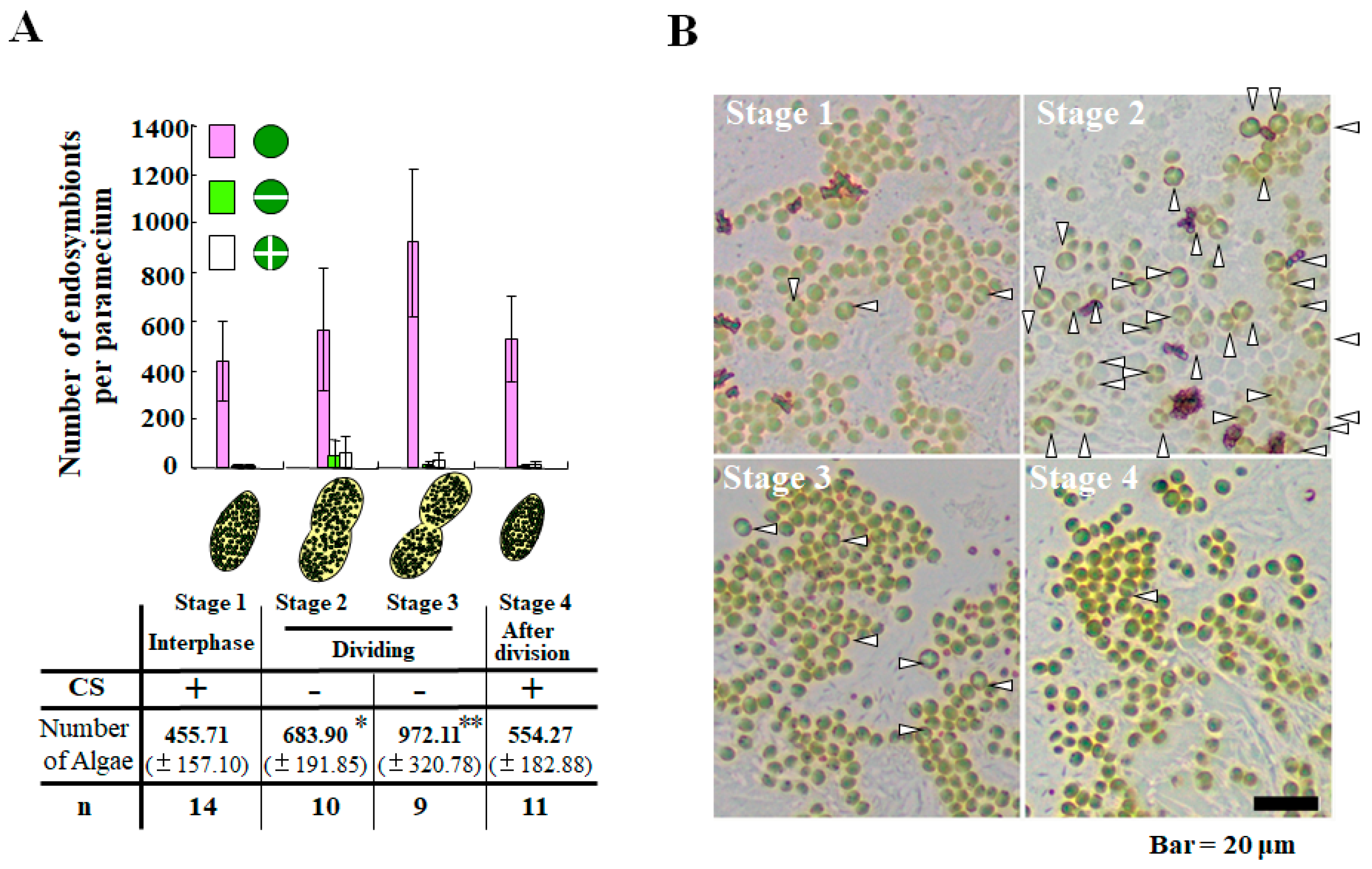 Energies 10 01413 g003 Energies 10 01413 g003
